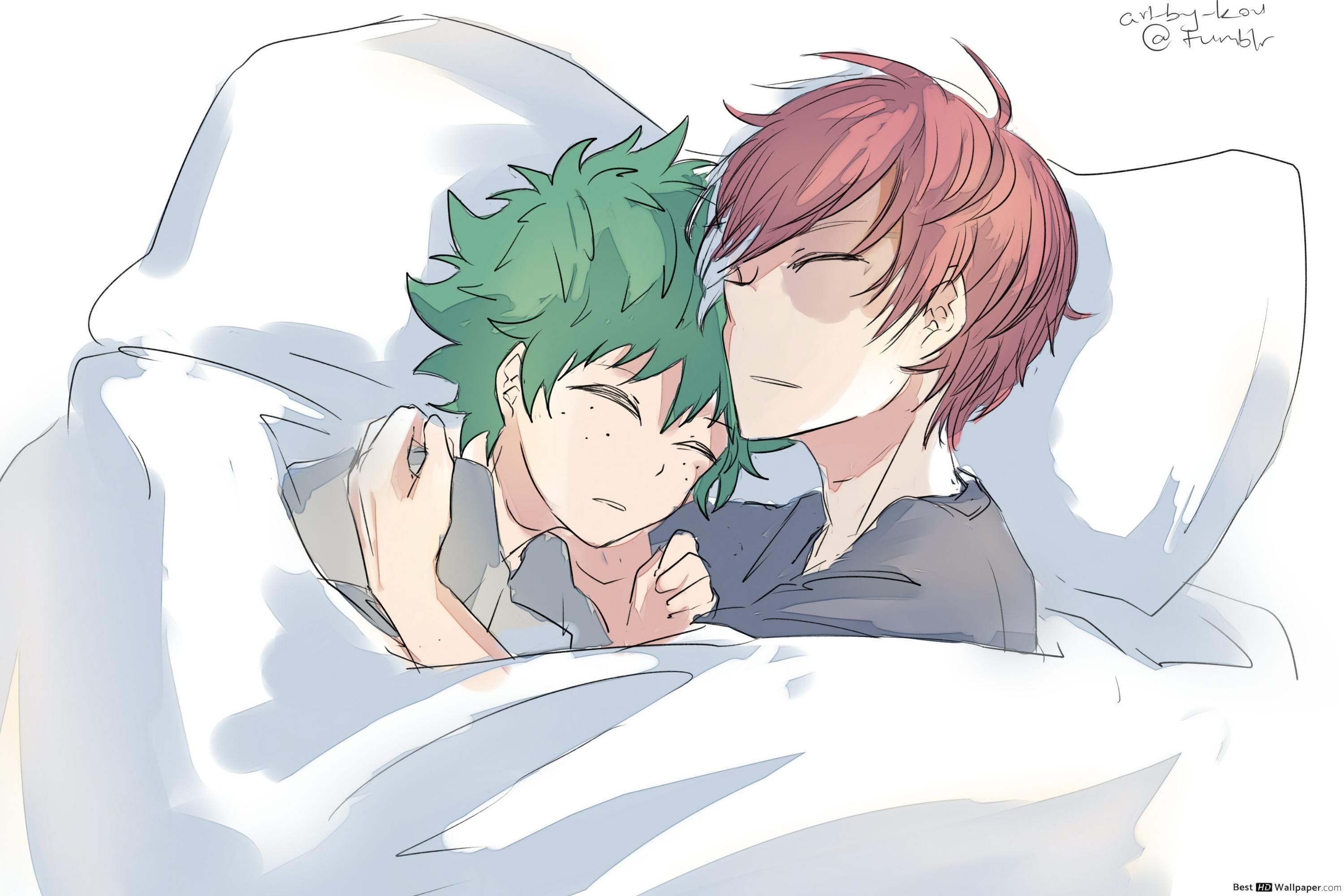 3000x2000 My Hero Academia Midoriya & Shoto Todoroki Sleeping HD, Desktop