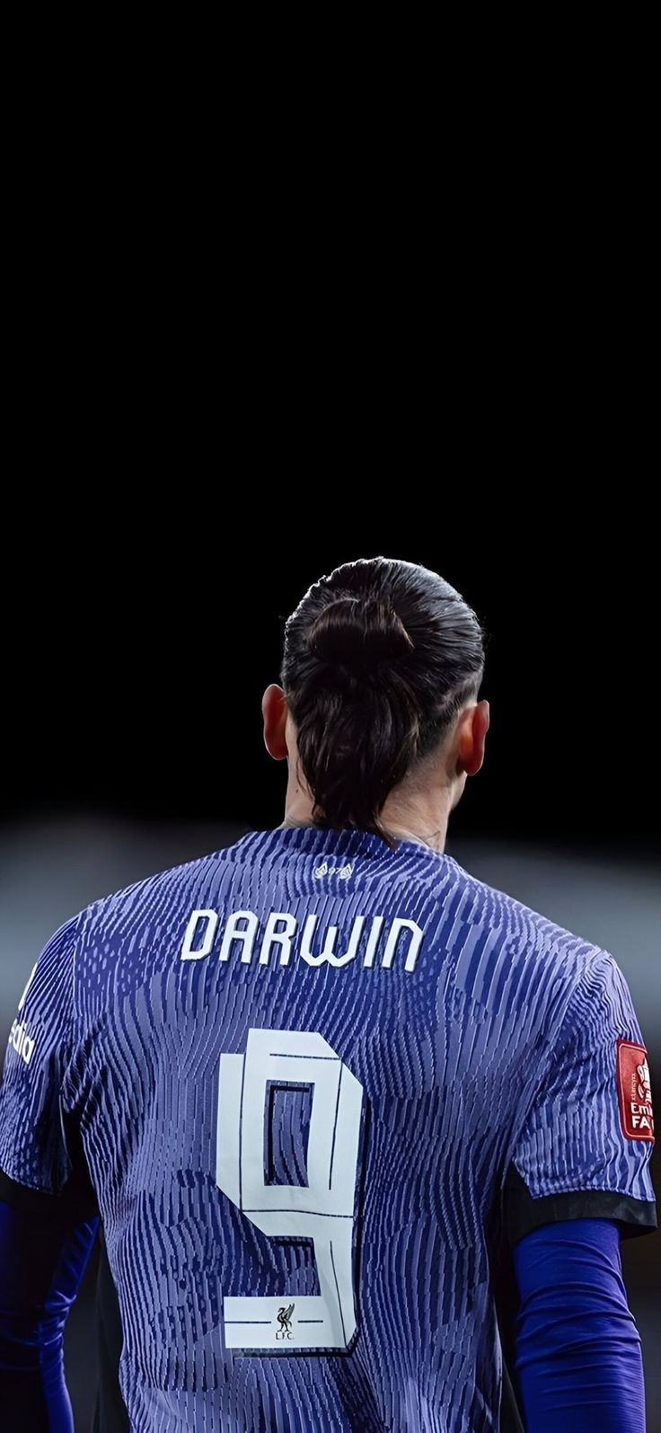 740x1600 Darwin Nunez Wallpaper in 2024, Phone