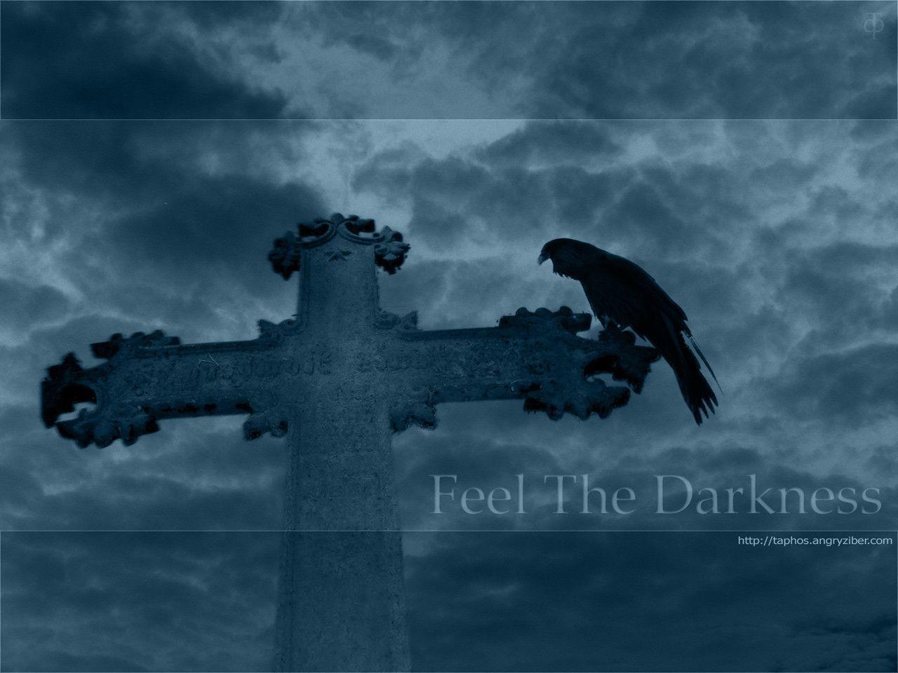 1280x960 Raven wallpaper, Desktop