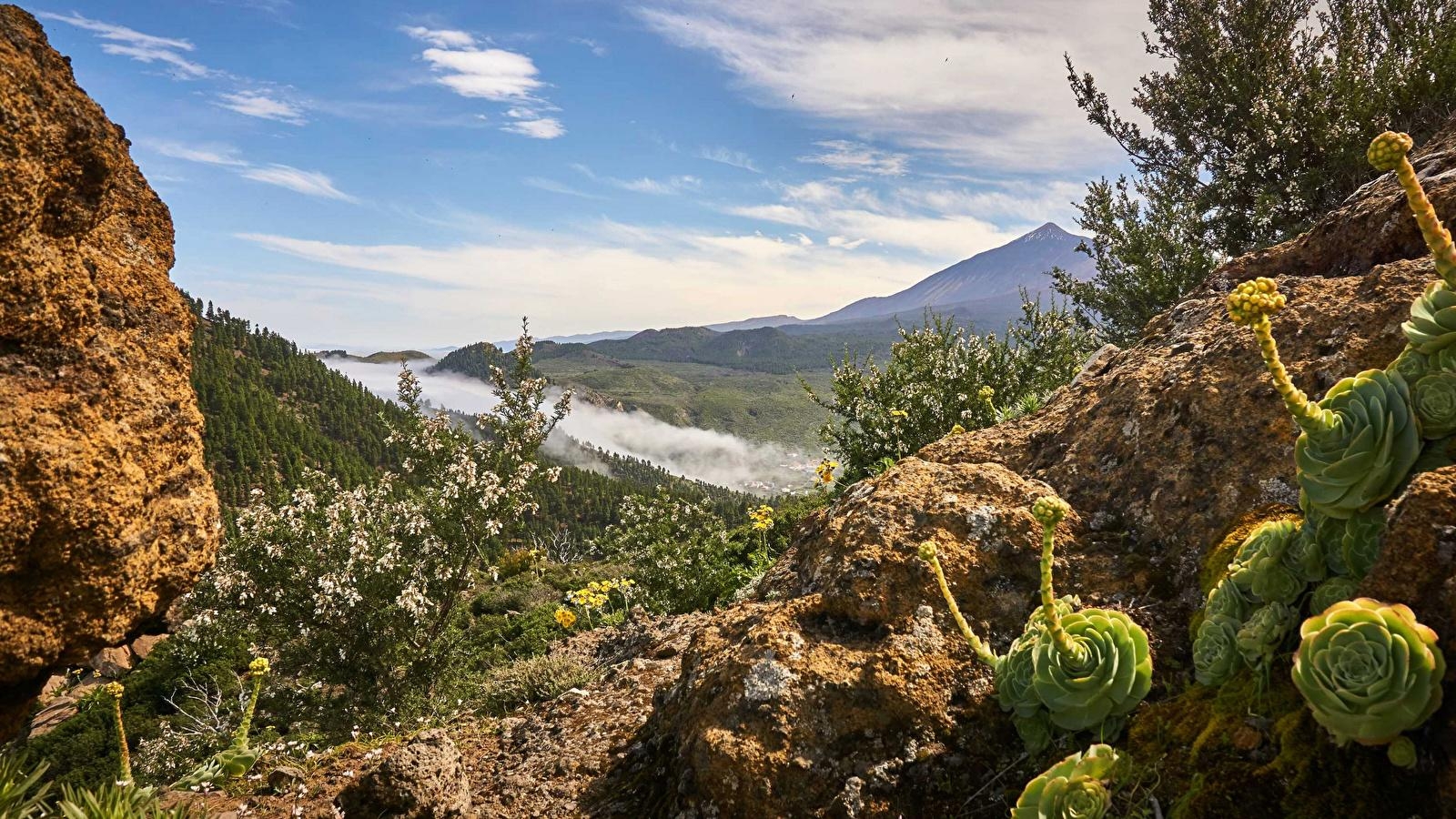 1600x900 Wallpaper Canary Islands Spain Tenerife Nature Sky, Desktop