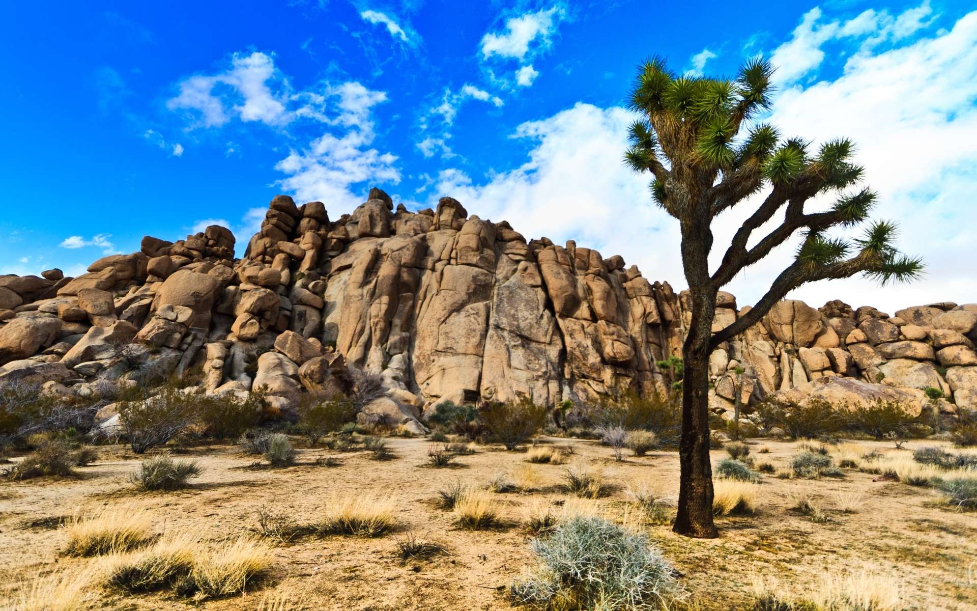 1920x1200 Joshua Tree National Park HD Wallpaper Best Collection, Desktop