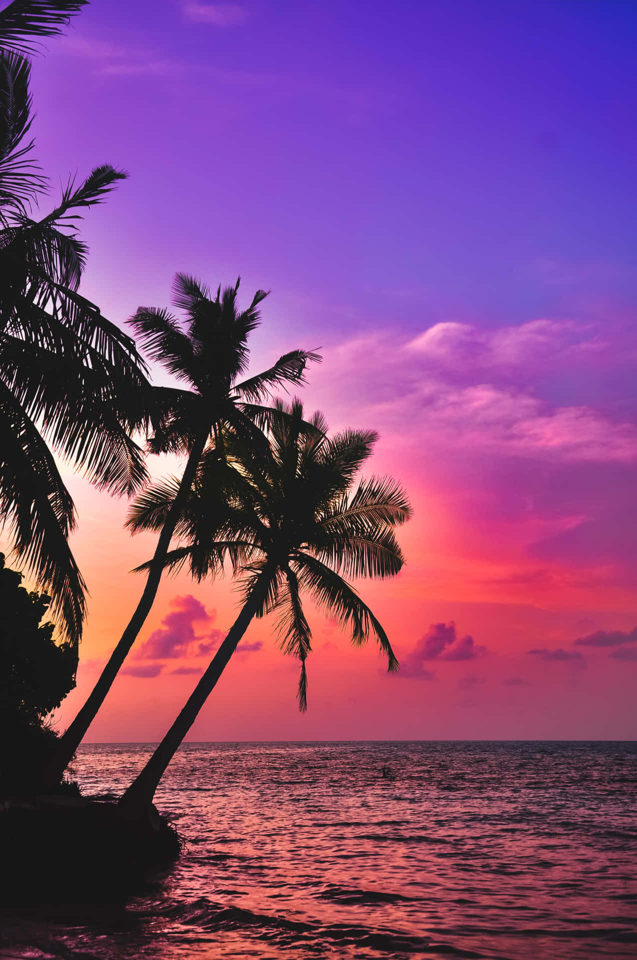 1280x1920 Download Pink Tropical Island Sunset iPhone Background, Phone