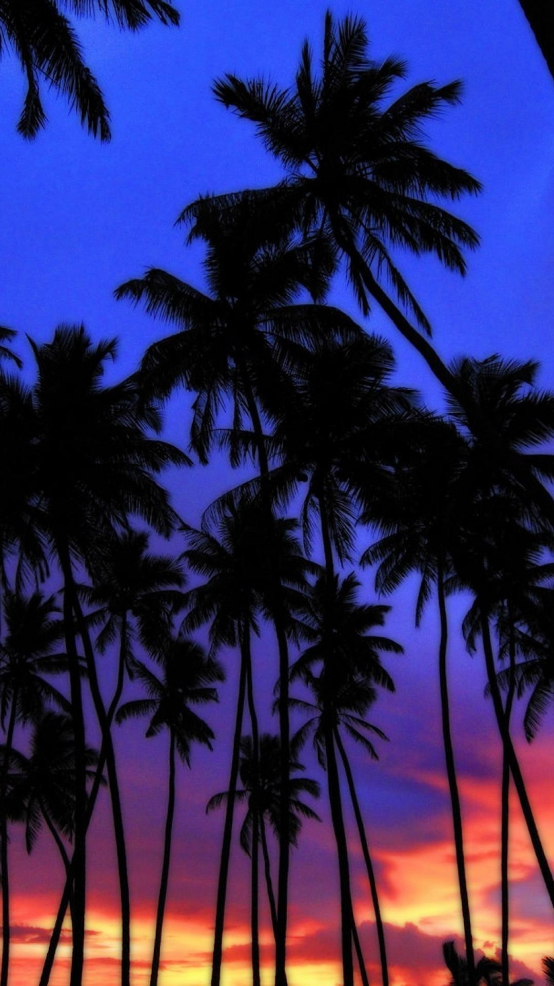 1080x1920 Palm Tree Sunset Wallpaper Phonewalpaperlist.com, Phone