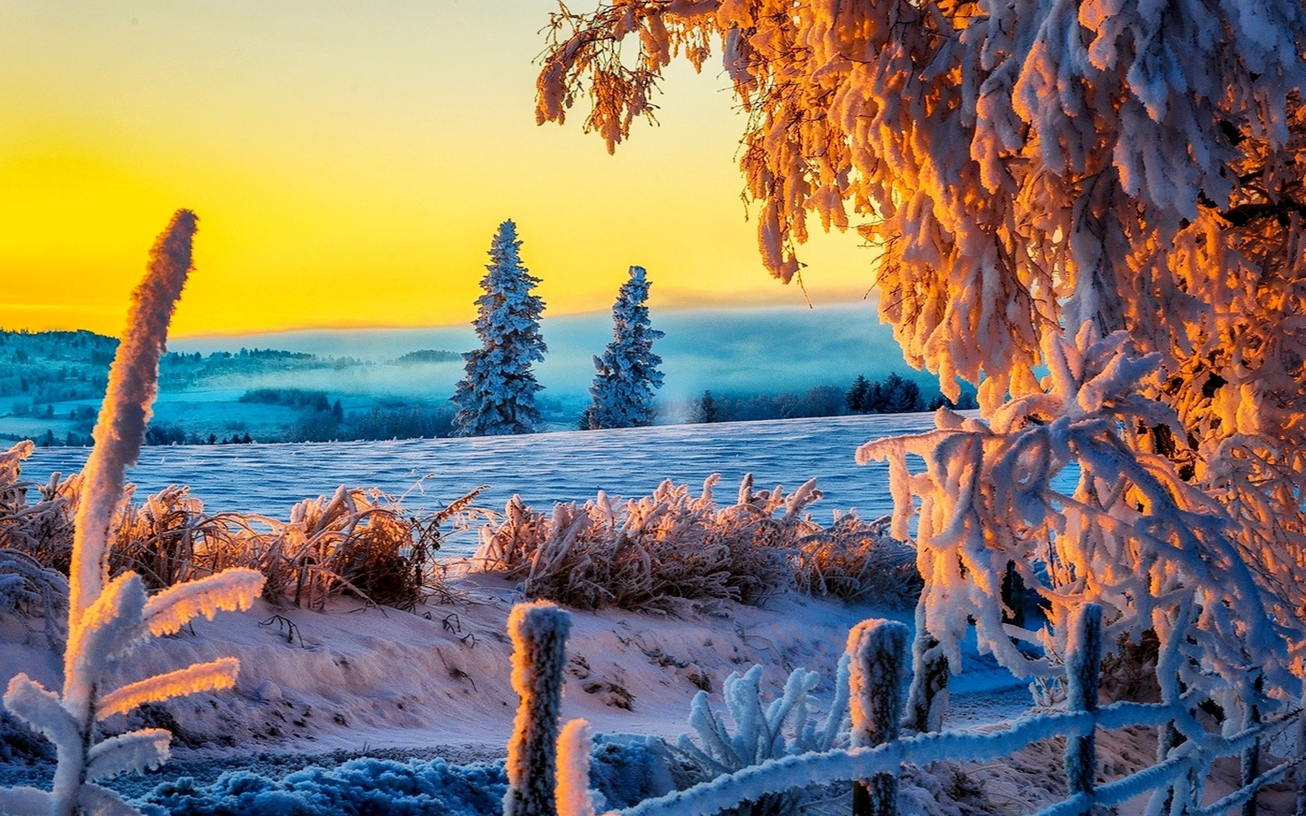 2560x1600 Free download Beautiful Winter Sunrise 4K Ultra HD wallpaper 4k, Desktop