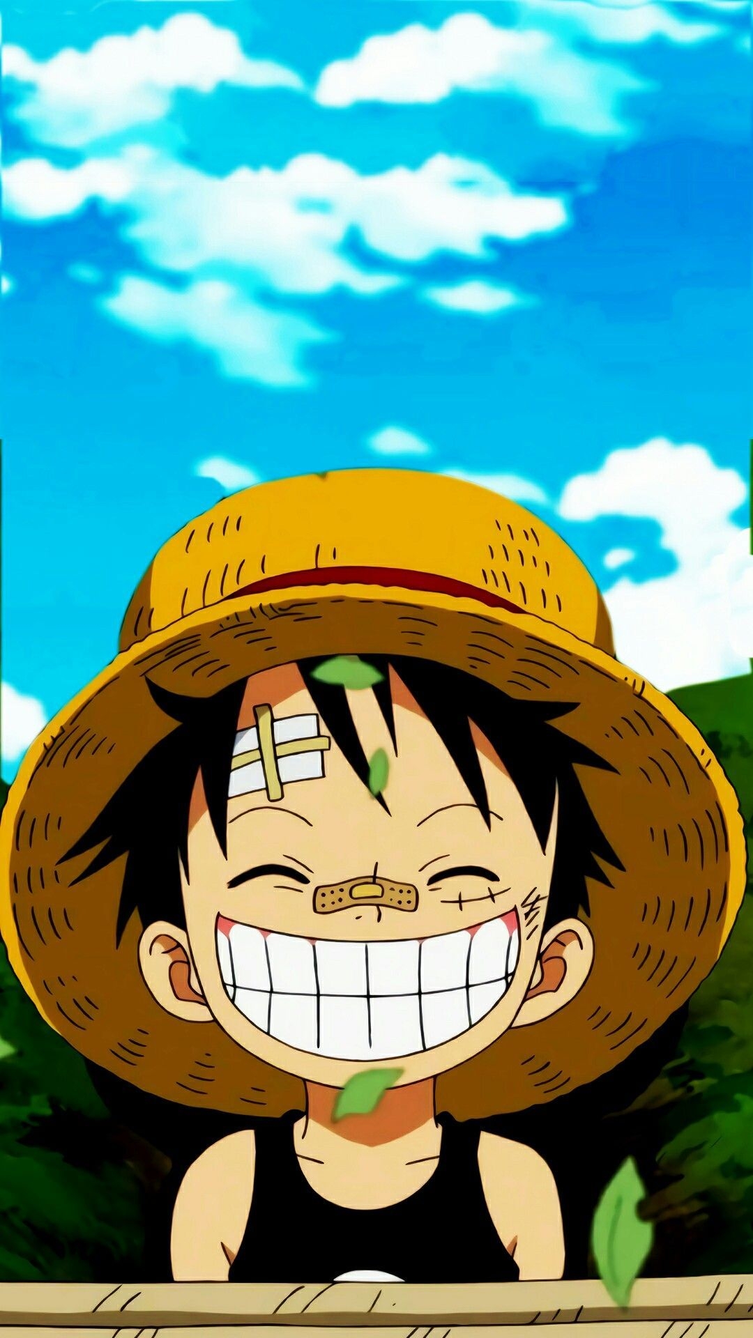 1080x1920 Cute Luffy Wallpaper Free HD Wallpaper, Phone