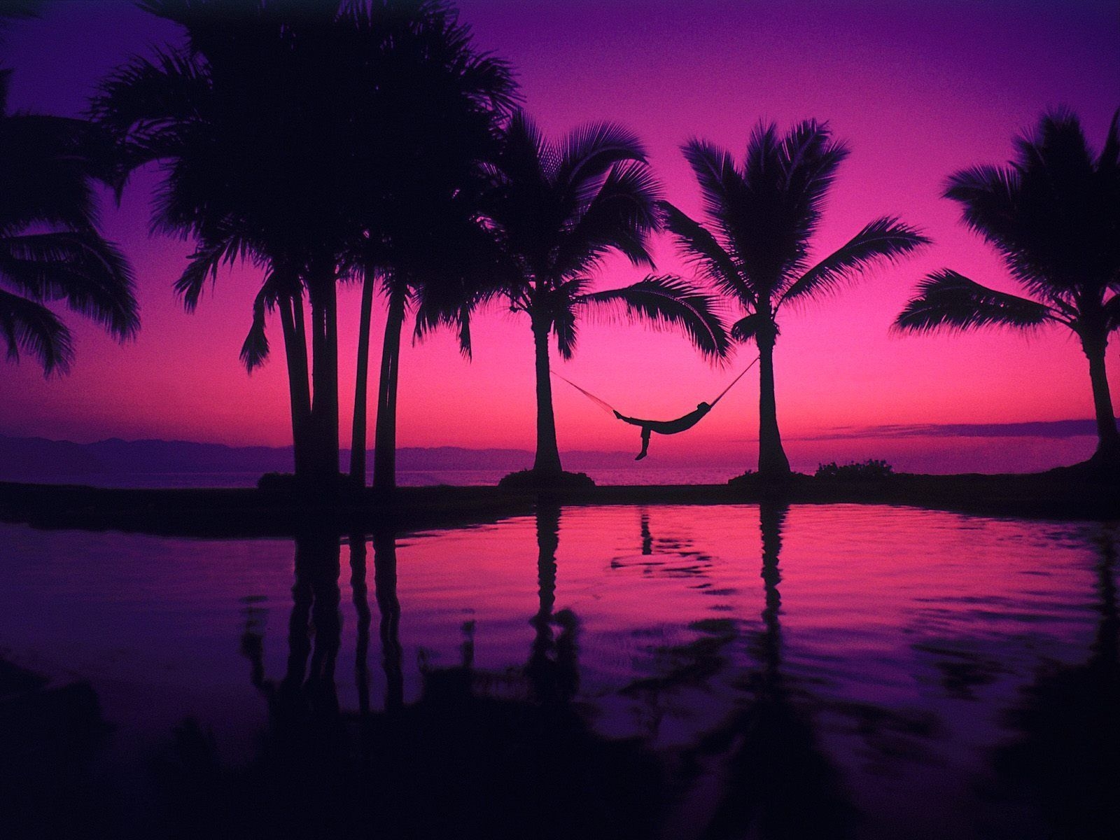 1600x1200 Palm Tree Sunset Wallpaper Free.wallpaperaccess.com, Desktop