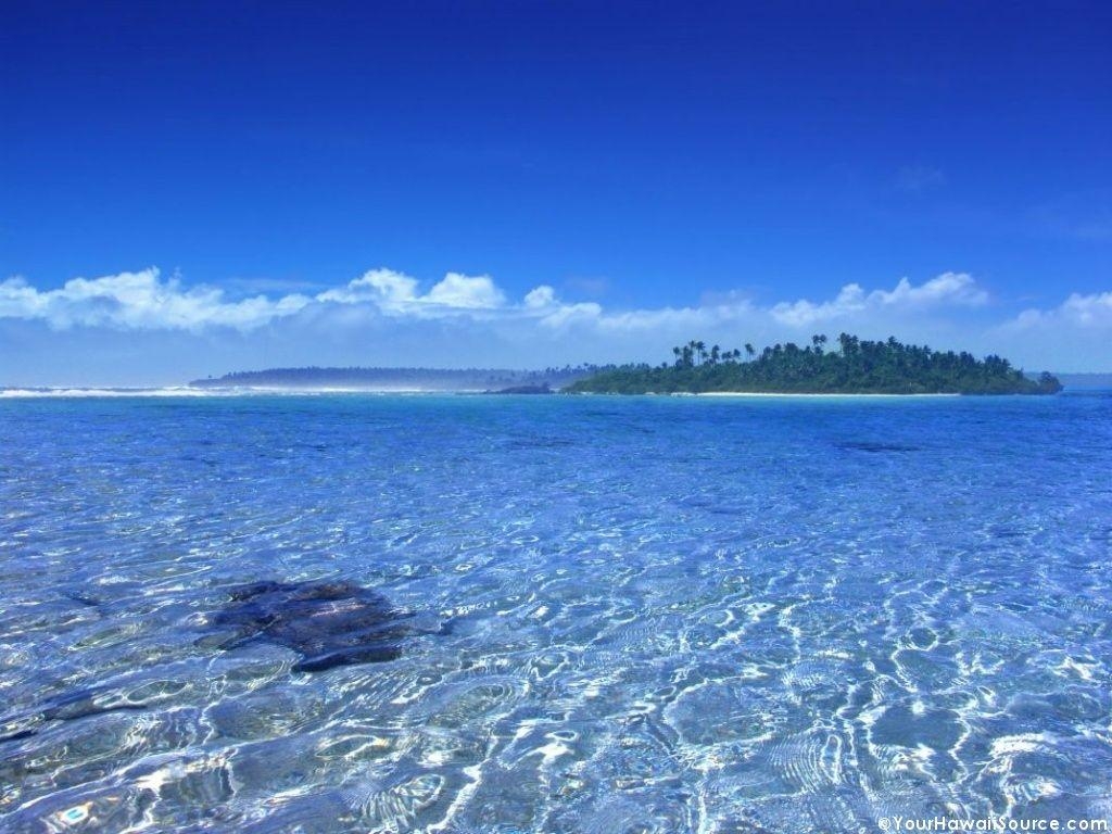 1030x770 June 8th Is World Oceans Day, Desktop