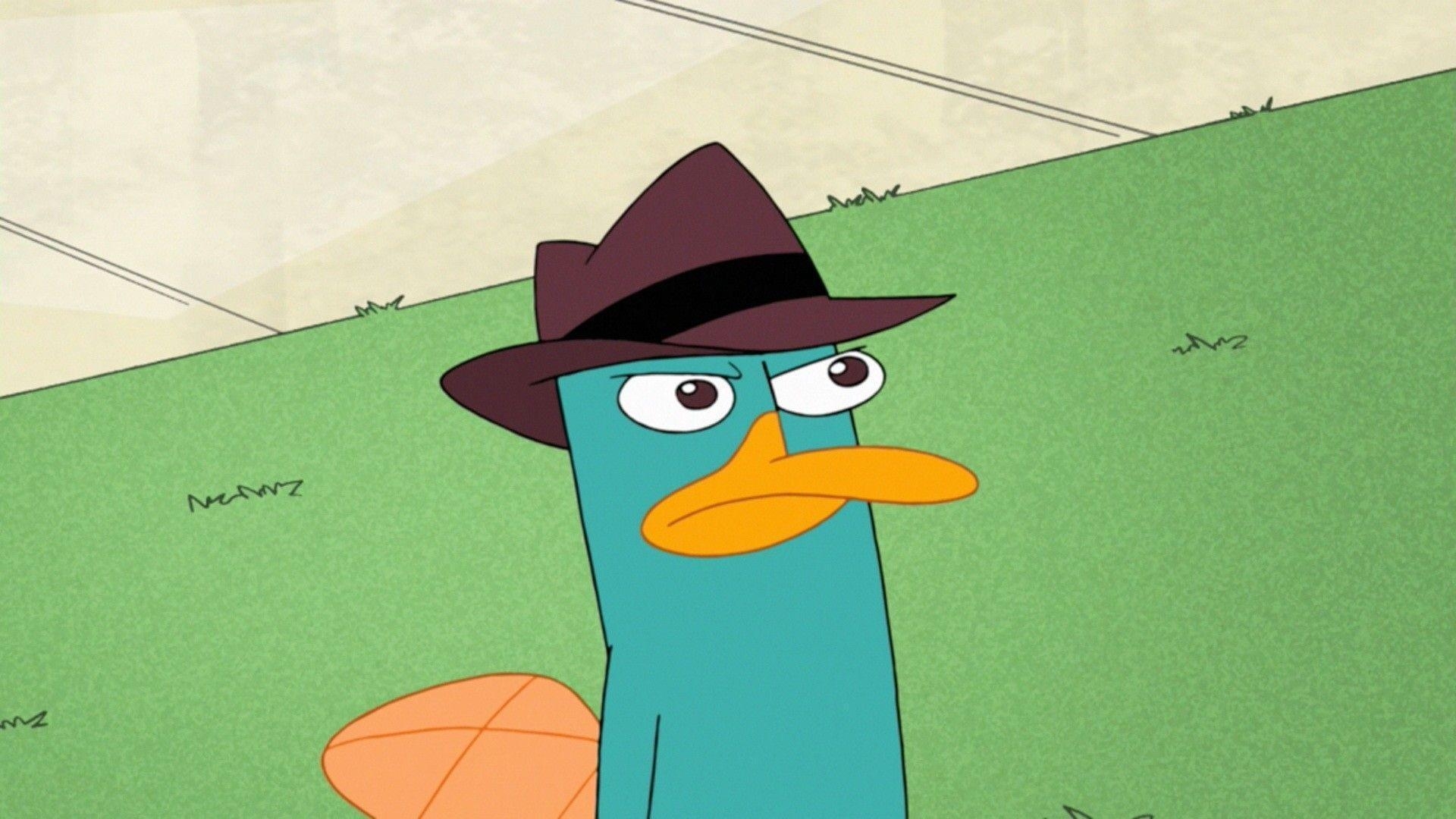 1920x1080 image Cool Background Perry The Platypus, Wallpaper, HD, Desktop