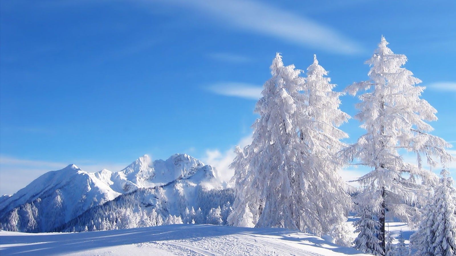 1600x900 Winter Wallpaper. Beauty of Winter season. Nature beautiful HD 795 - Winter HD Wallpaper, Desktop