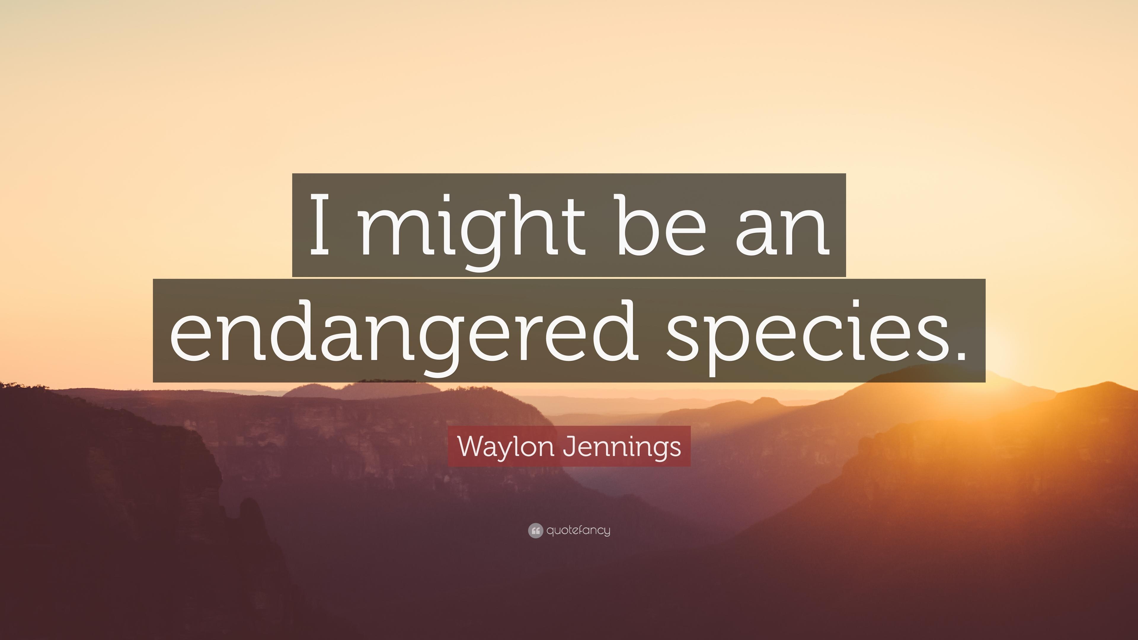 3840x2160 Waylon Jennings Quote: “I might be an endangered species.” 7, Desktop