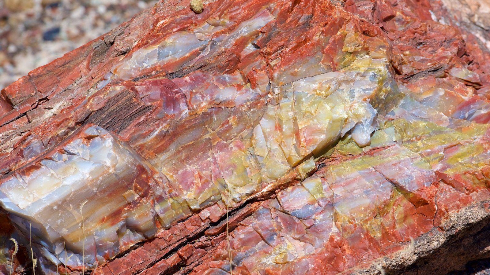 1600x900 Petrified Forest National Park Picture: View Photo & Image, Desktop