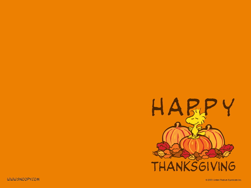 1030x770 Thanksgiving Day. Video Downloading and Video Converting Free Zone, Desktop