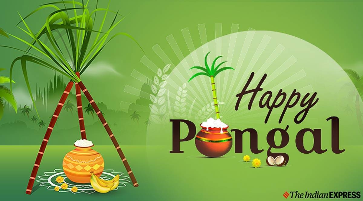 1200x670 Happy Pongal Image 2020: Wishes Image, Quotes, Status, SMS, Messages, HD Wallpaper, Photo, GIF Pics, Greetings Download in Tamil, Telugu, Desktop