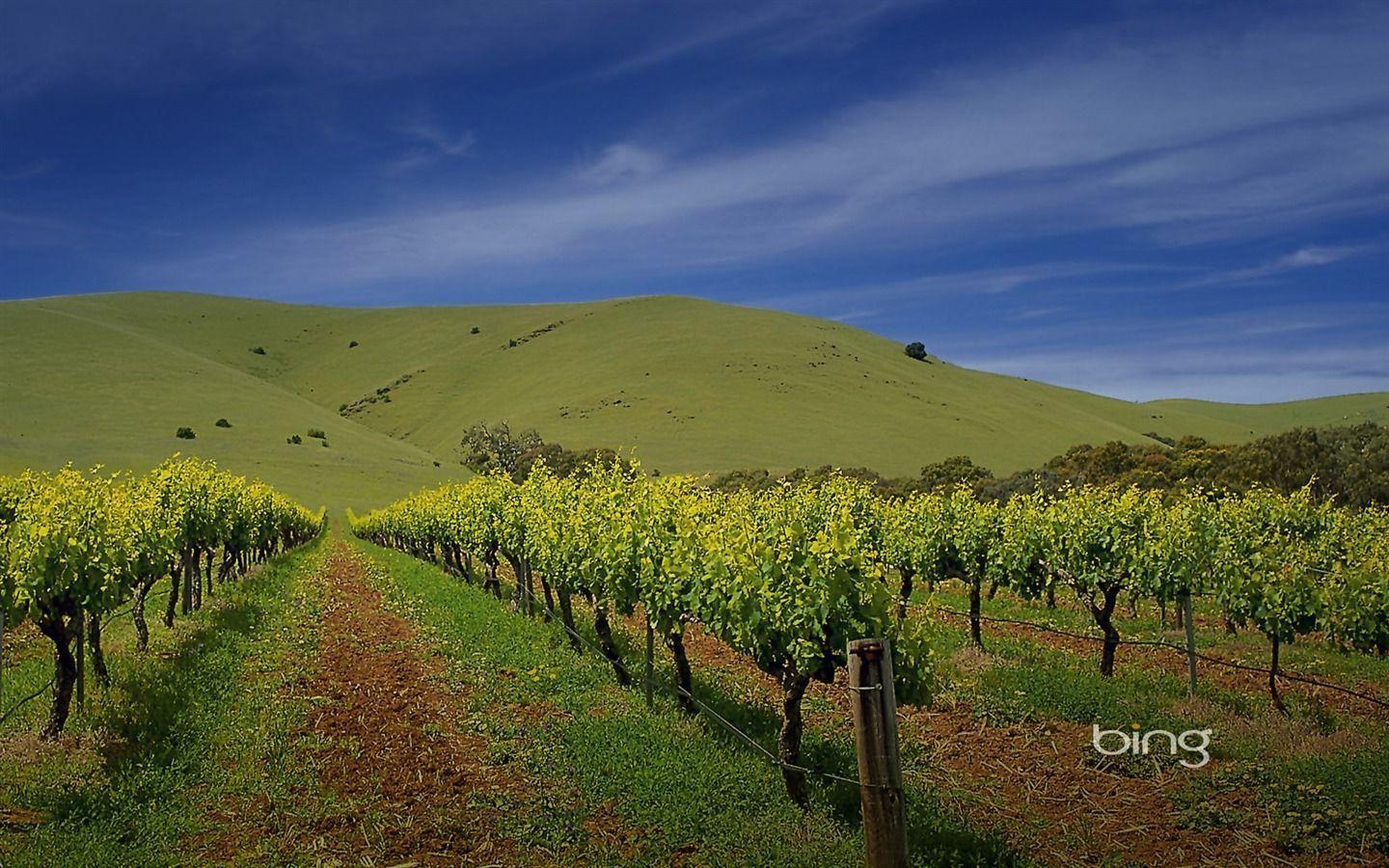 1440x900 Barossa Valley Barossa Valley vineyard wallpaper, Desktop