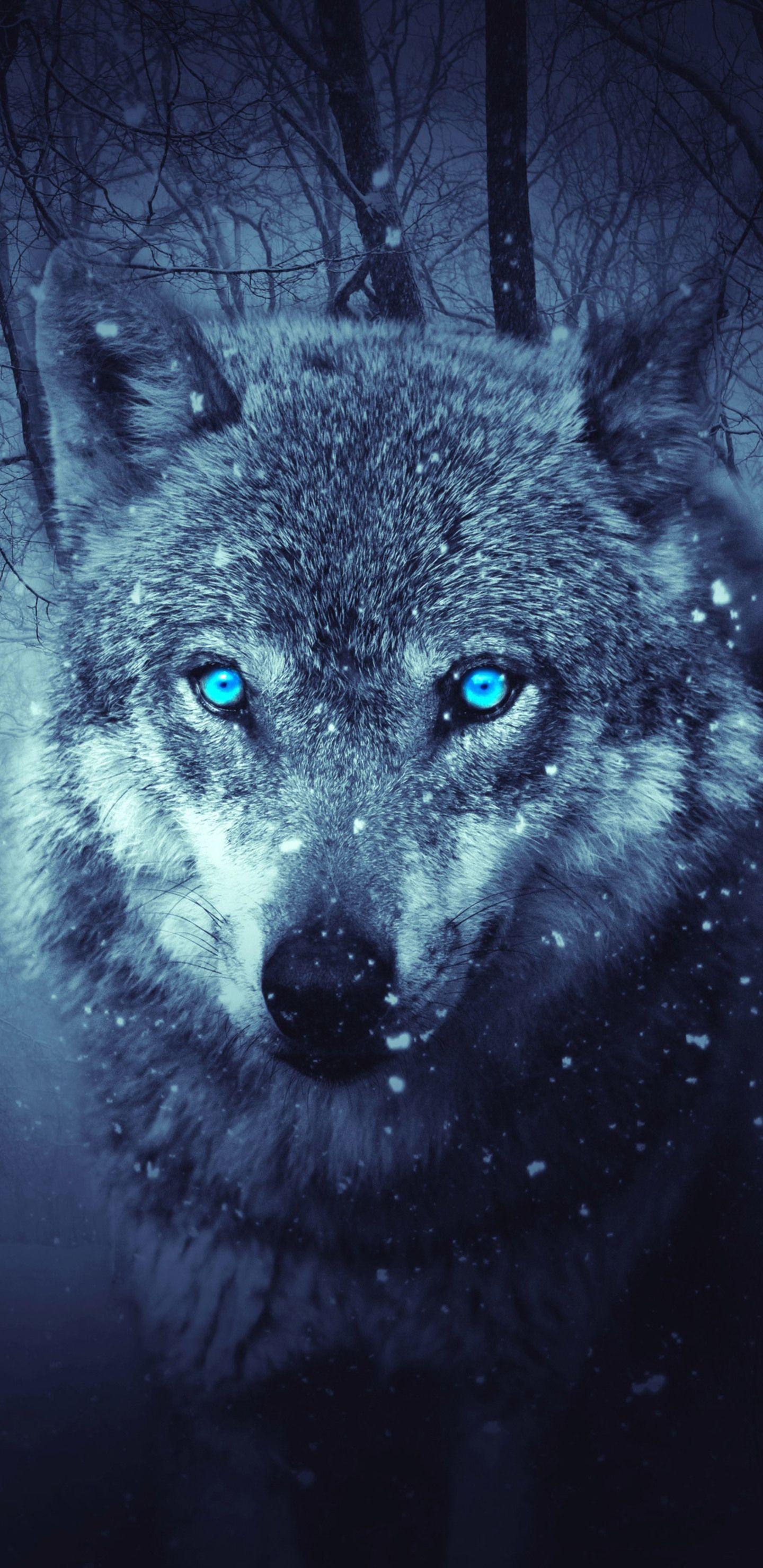 1440x2960 Fantasy Wolf 5k Samsung Galaxy S S, Note 8 QHD HD 4k, Phone