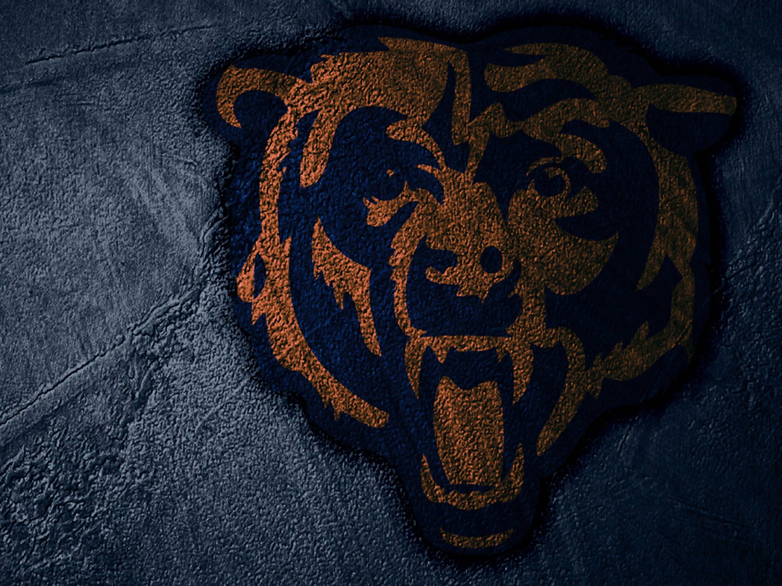 2560x1920 Chicago Bears HD Wallpaper, Desktop