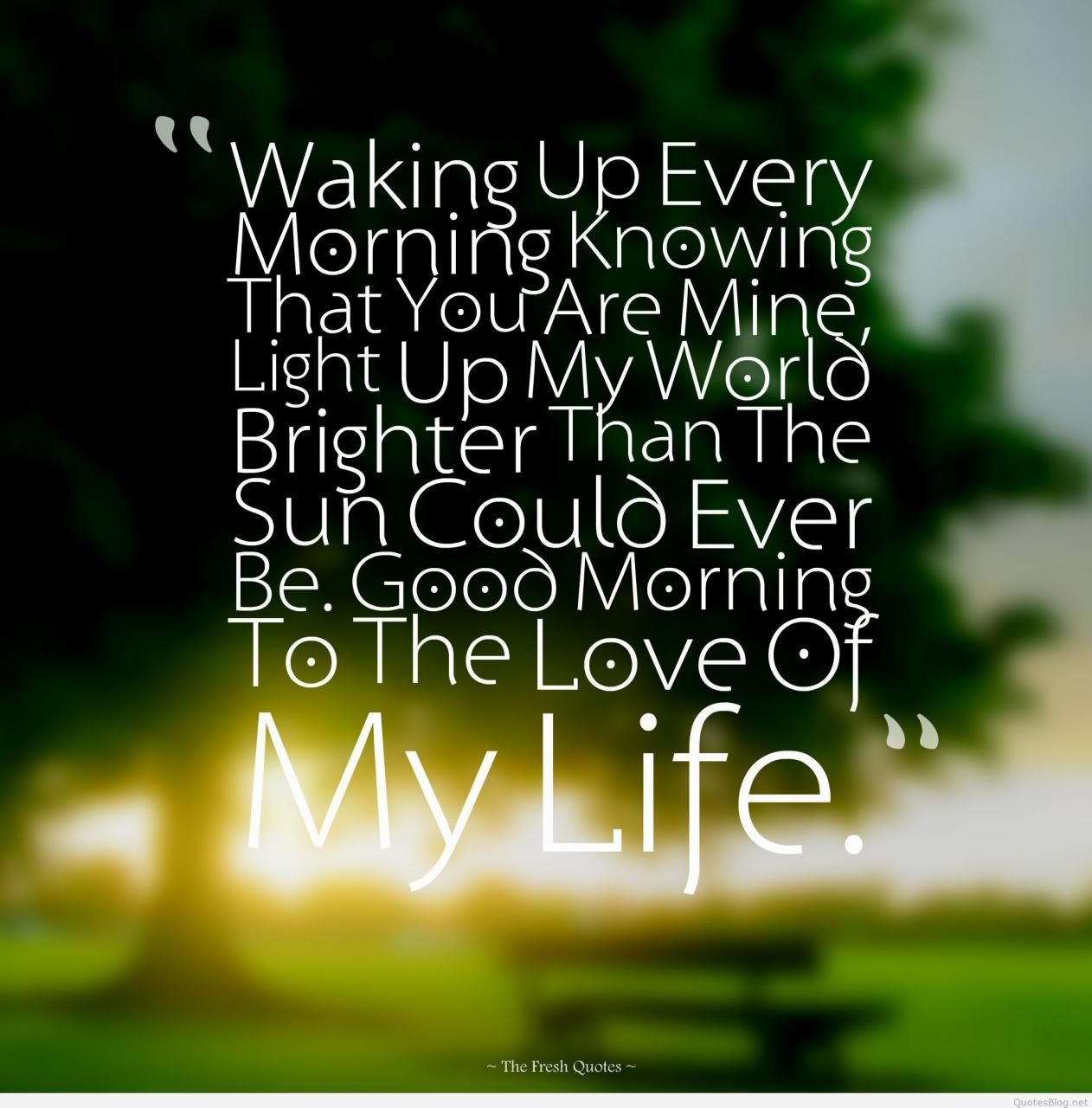 1270x1280 Morning My Love Quotes, Phone