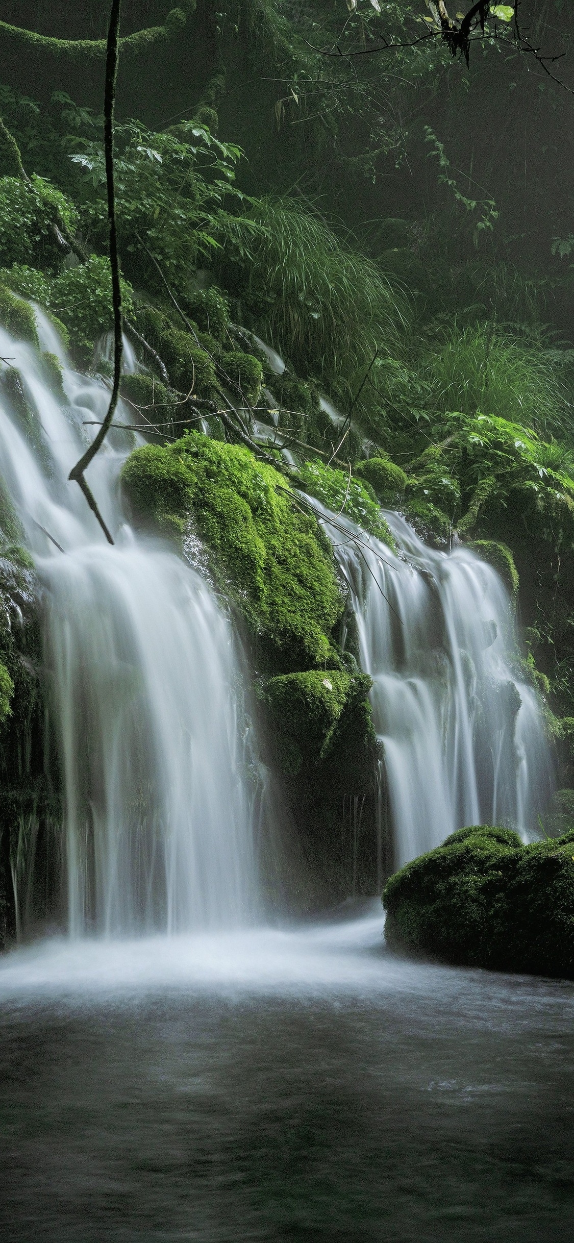 1130x2440 Spring Waterfall Stone Fog Mist Green Forest 8k iPhone XS, iPhone iPhone X HD 4k Wallpaper, Image, Background, Photo and Picture, Phone