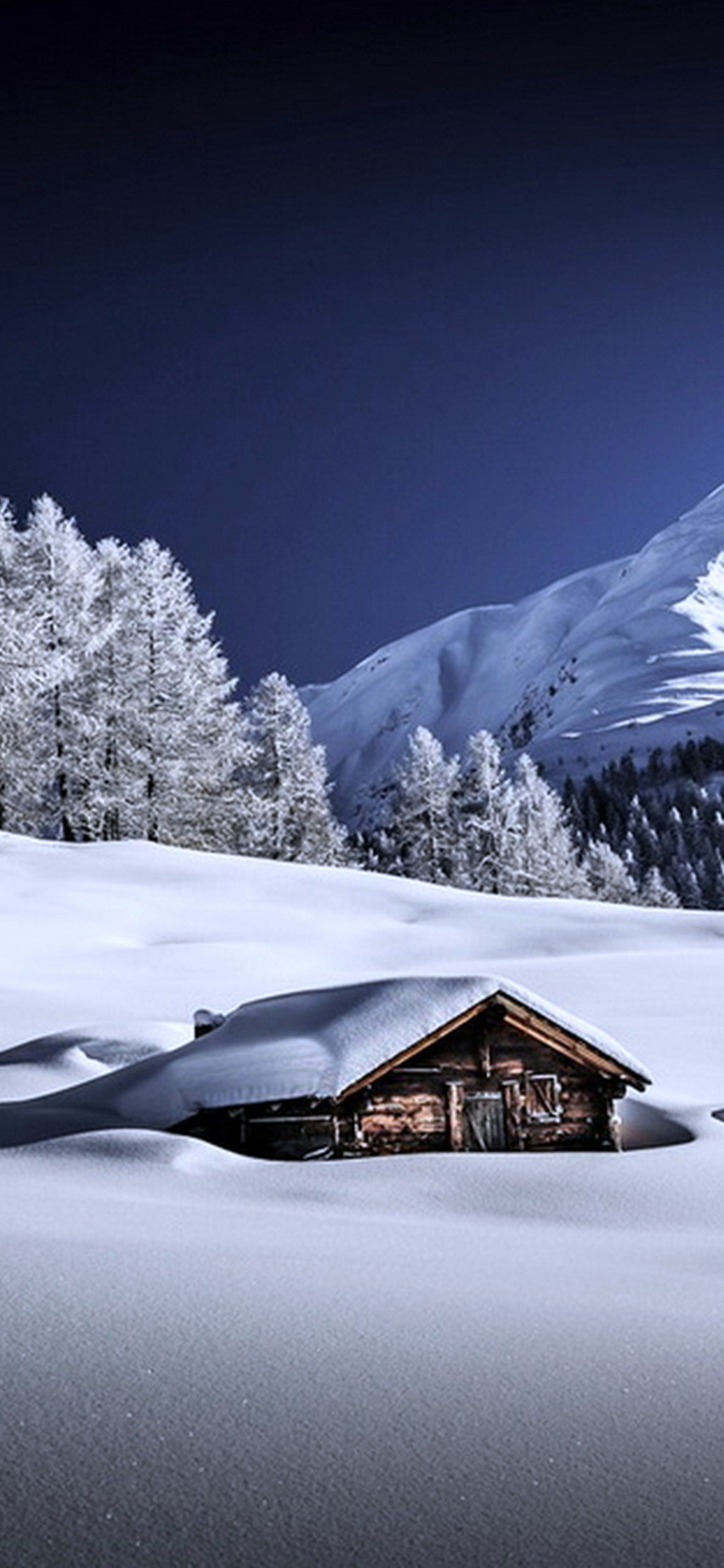 1130x2440 4K Winter Wallpaper for Desktop, iPad & iPhone, Phone