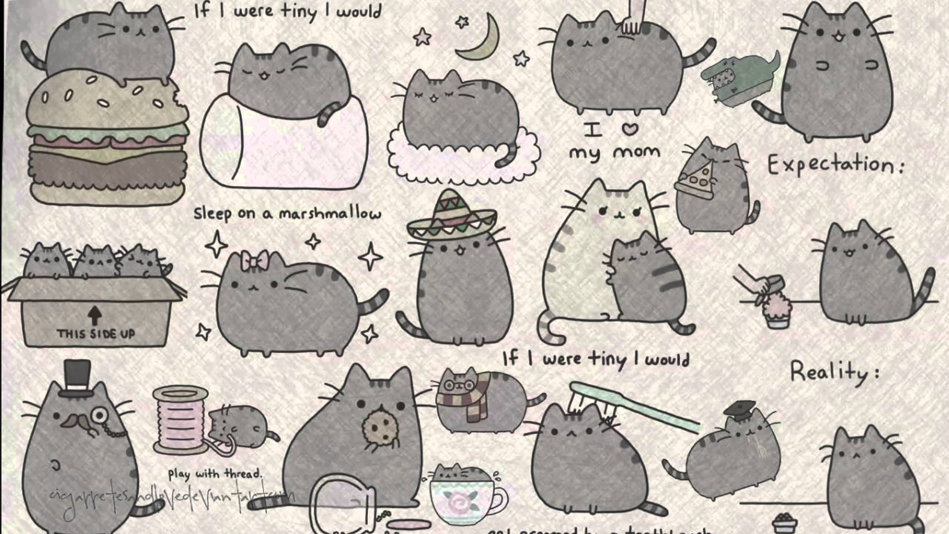 1920x1080 pusheen wallpaper, Desktop