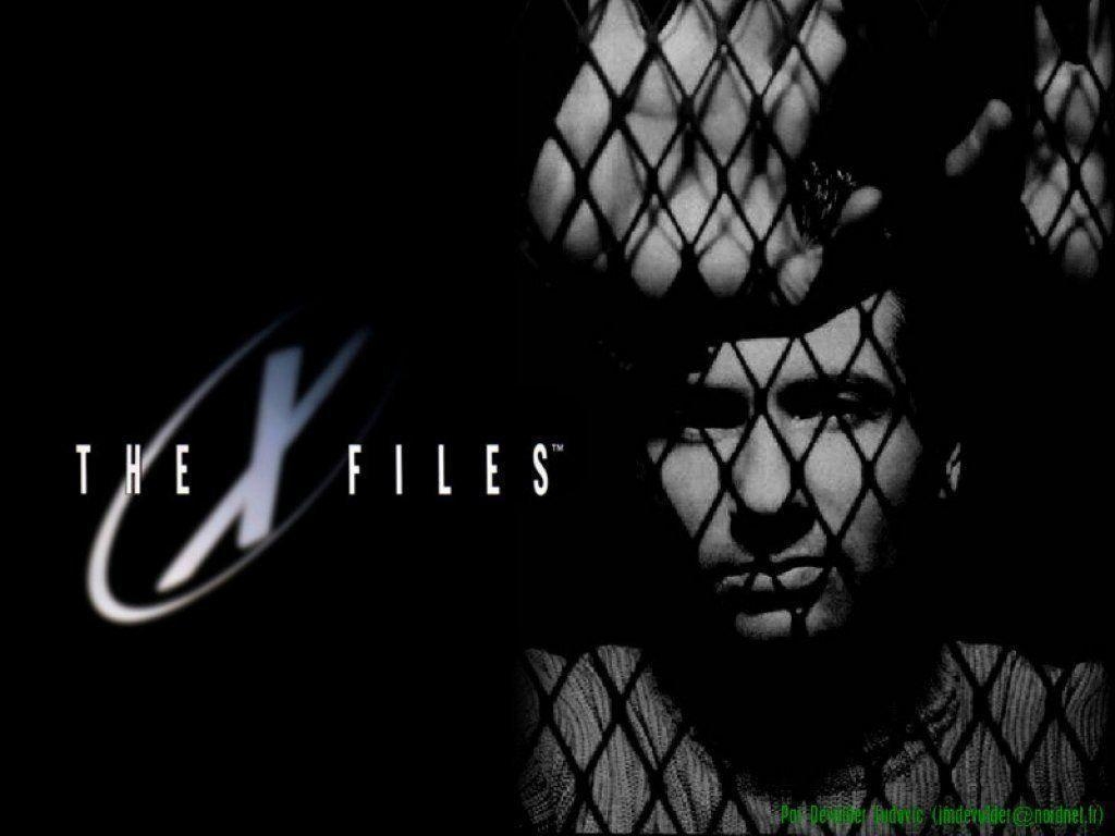 1030x770 The X Files X Files Wallpaper, Desktop