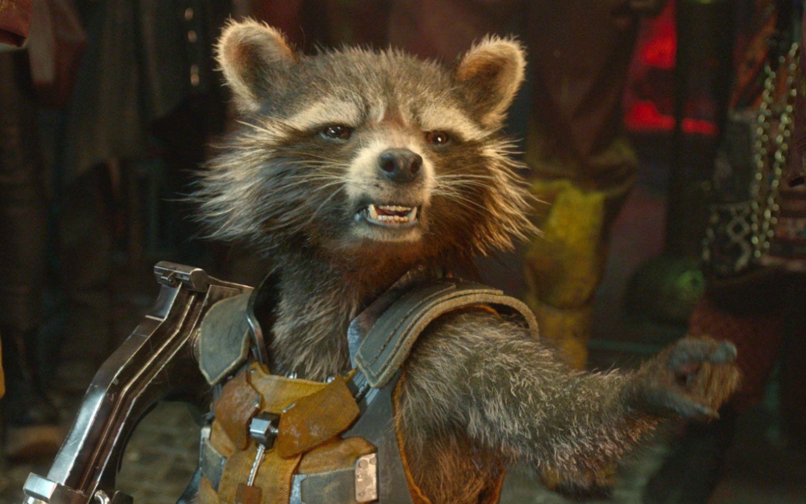 1600x1000 1118x1711px Rocket Raccoon 690.08 KB, Desktop