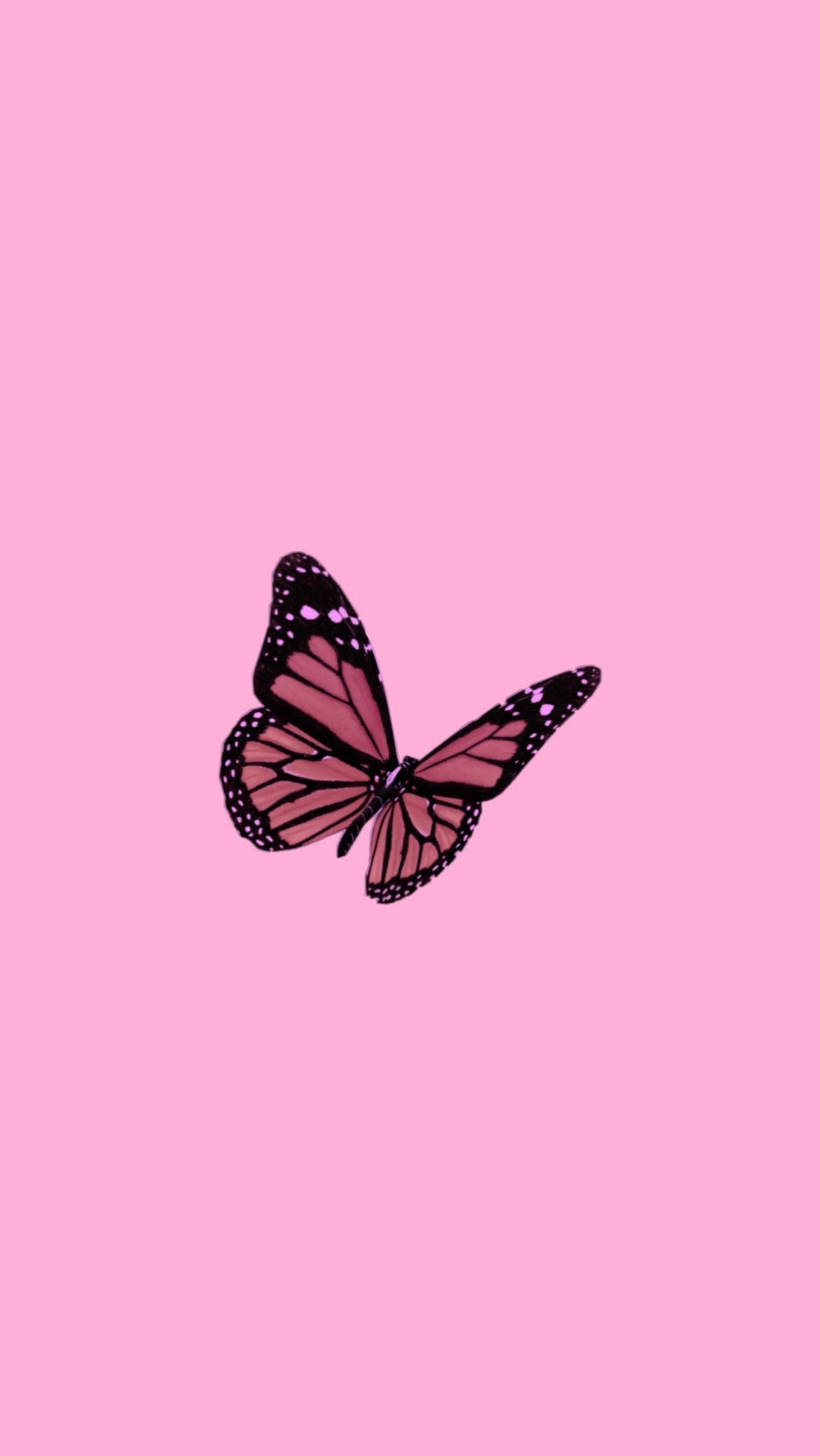 1290x2290 butterfly aesthetic Butterfly wallpaper. Butterfly, Phone