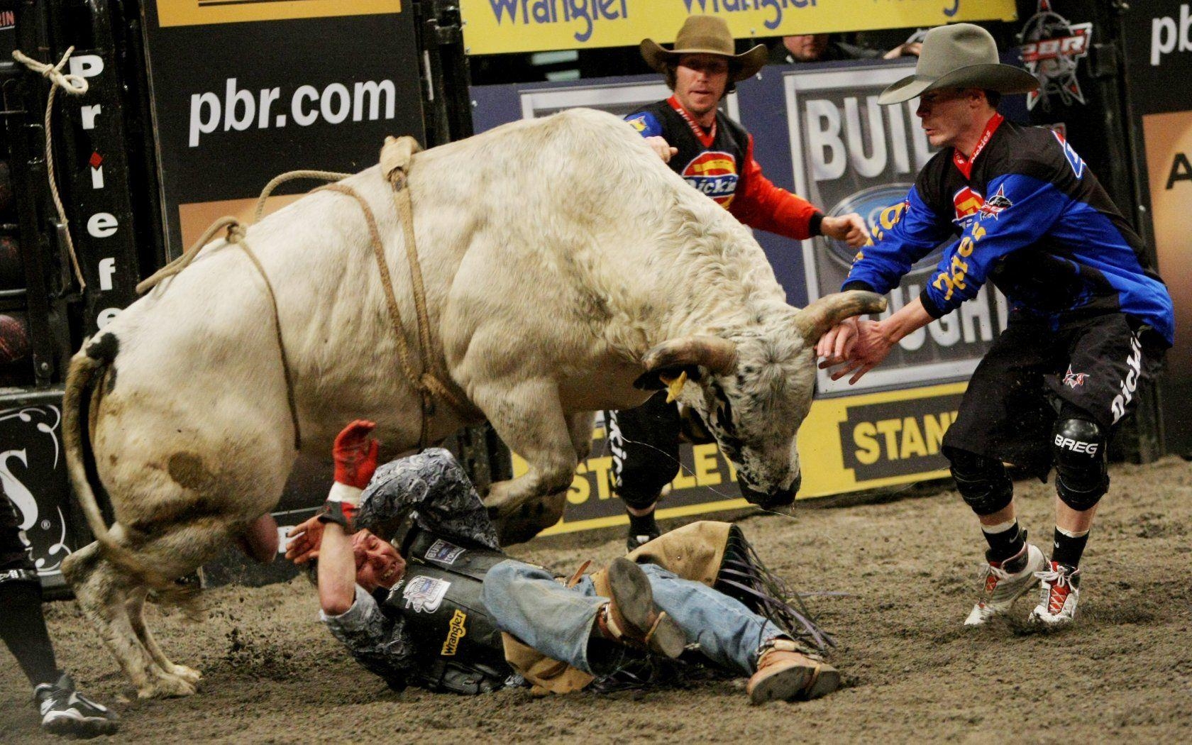 1680x1050 Bullriding Bakgrund and Bakgrundx1050, Desktop