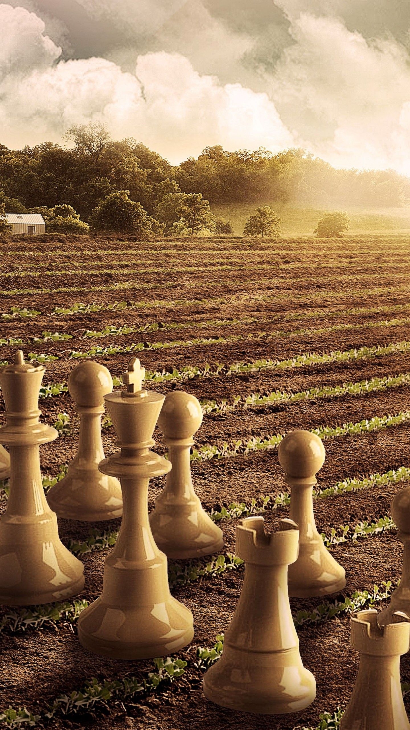 1440x2560 Wallpaper Chess pieces, Farming, 4K, Creative Graphics / Editor's Picks,. Wallpaper for iPhone, Android, Mobile and Desktop, Phone