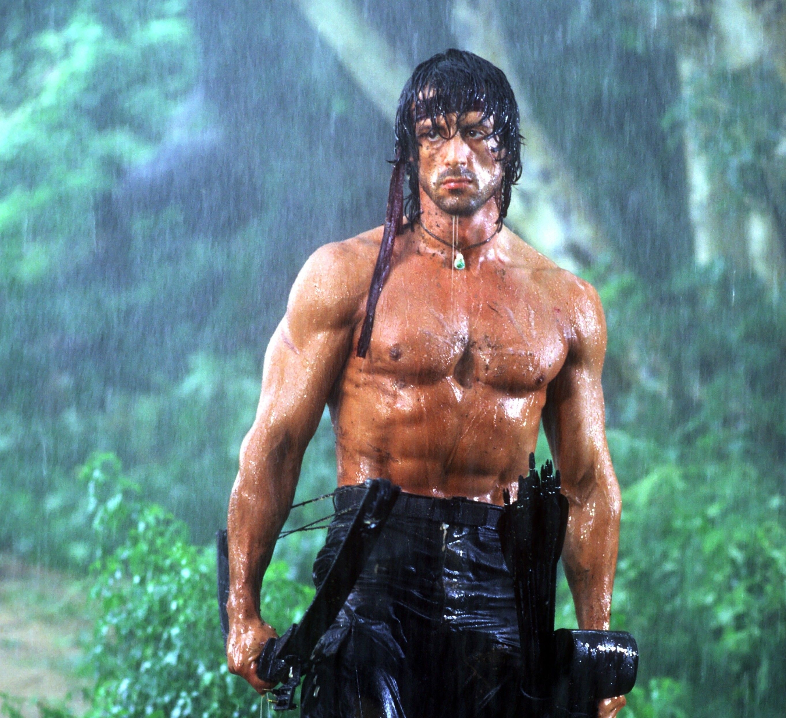 2730x2500 actors, Sylvester Stallone, John Rambo wallpaper, Desktop