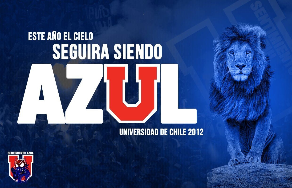 1240x800 udechile #bulla #lda #sudamericana. U de chile, Chile wallpaper, Desktop