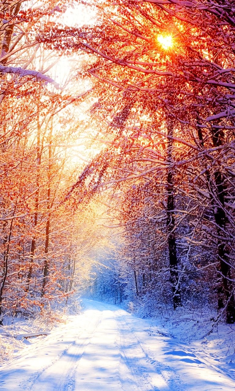 770x1280 Winter Good Morning Image Nature, Phone