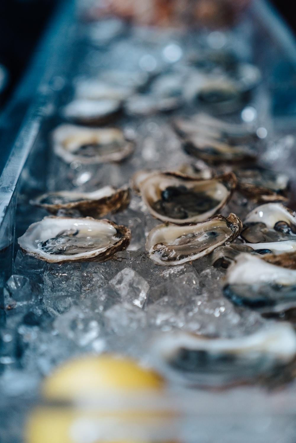 1000x1500 shallow focus photography of oysters on bowl photo, Phone