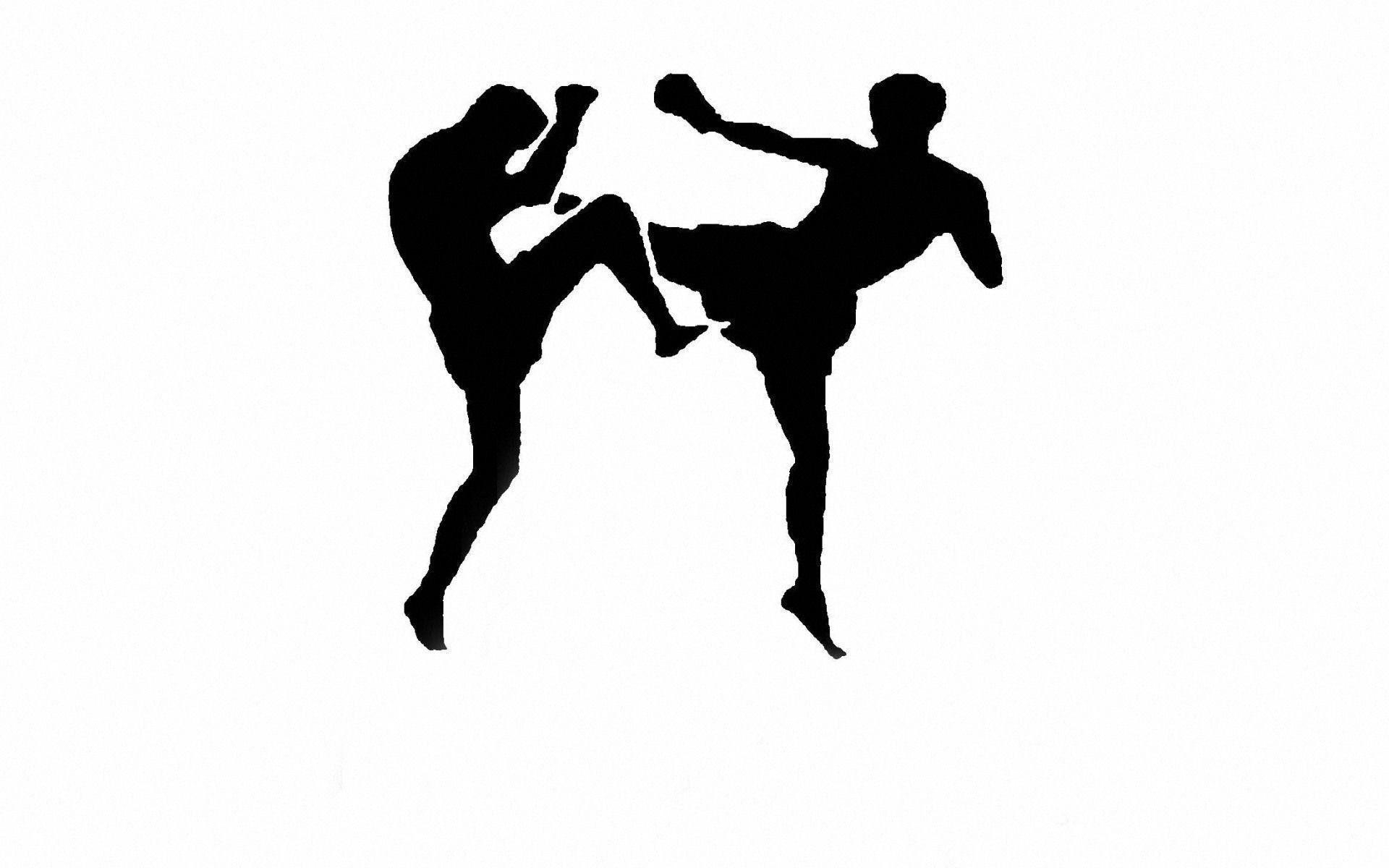 1920x1200 Kick Boxing Wallpaper, Desktop