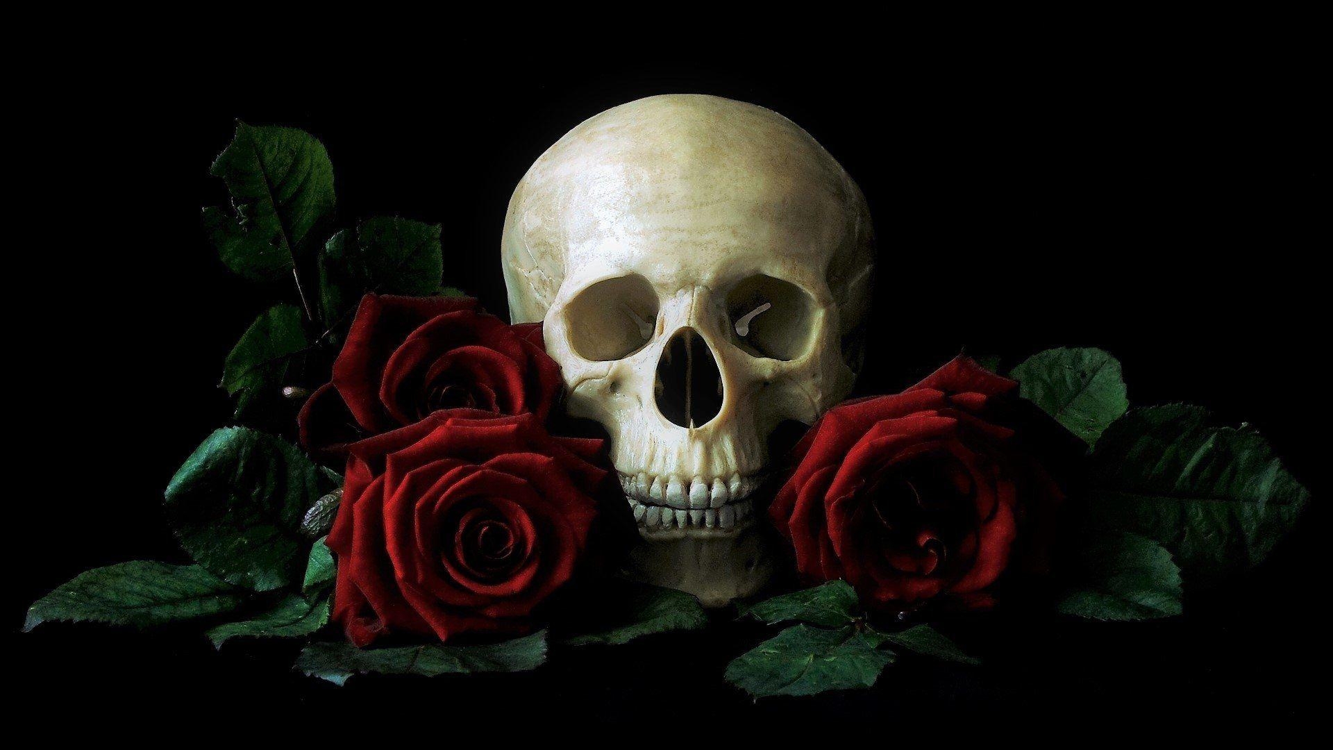 1920x1080 Skull and Roses HD Wallpaper, Desktop