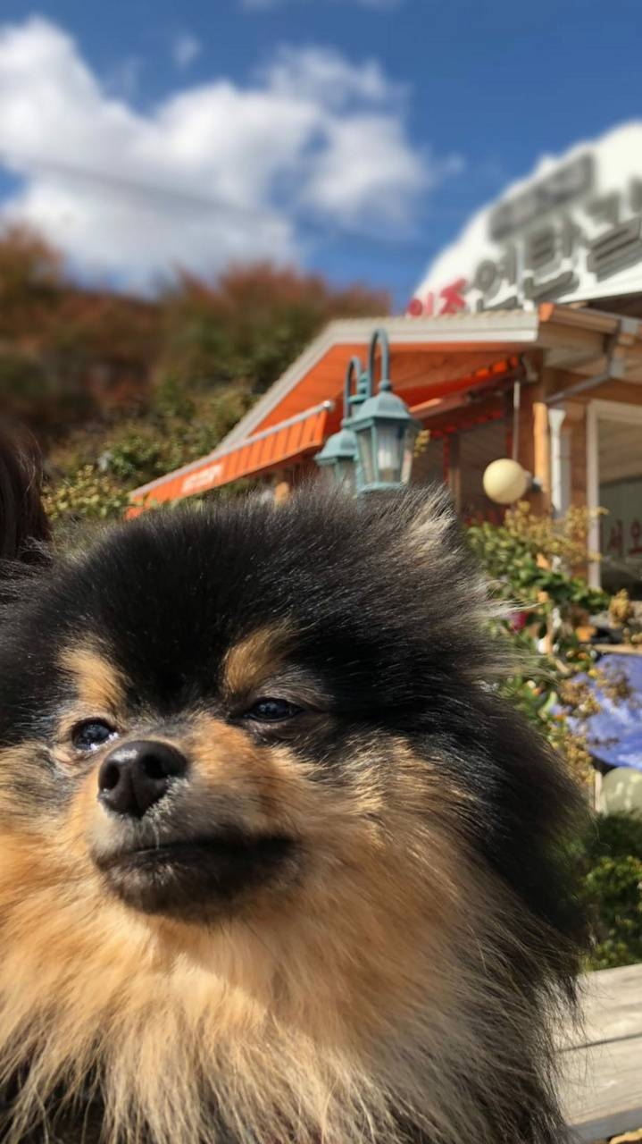 720x1280 BTS YEONTAN wallpaper, Phone