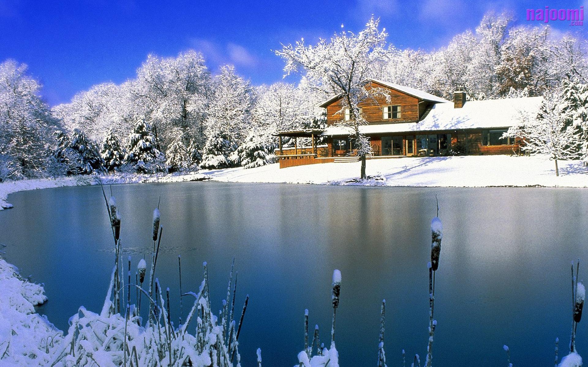 1920x1200 Most Beautiful Snow Scenes Wallpaper. Best Free Wallpaper, Desktop