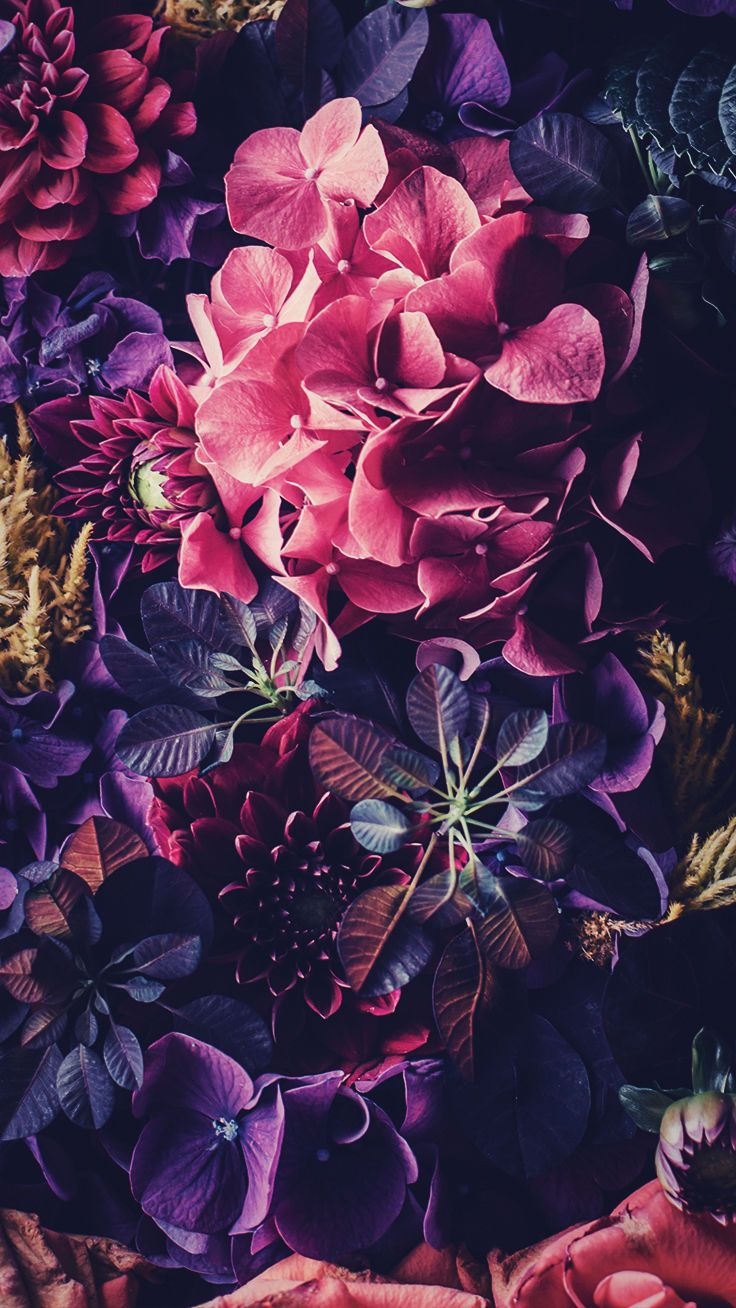 740x1310 Floral iPhone Wallpaper To Celebrate 65k Followers, Phone