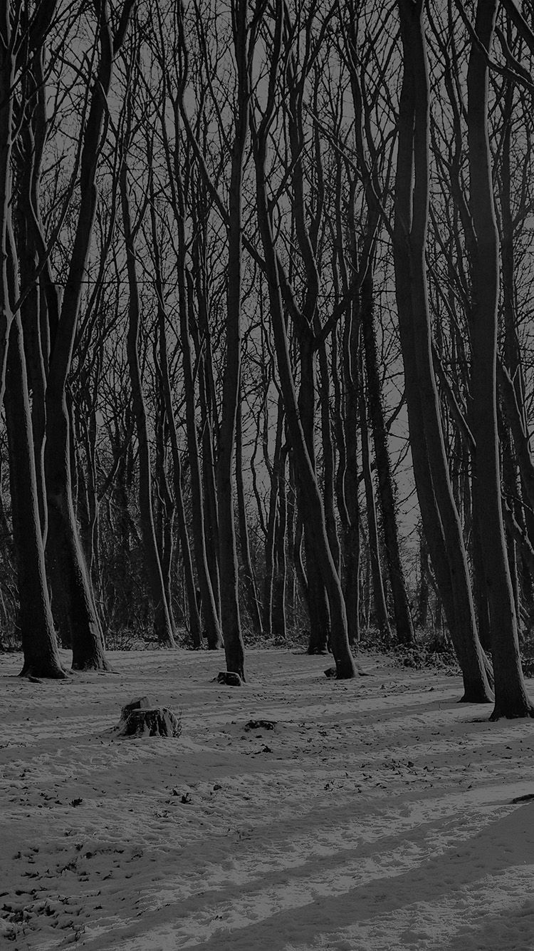 750x1340 Cold Winter Forest Snow Nature Mountain Dark Bw Wallpaper, Phone