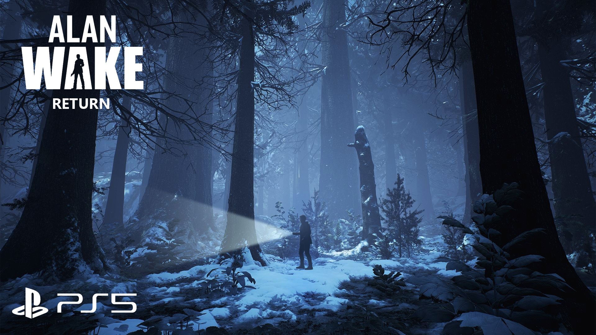 1920x1080 Alan Wake 2 fanart screenshot!, Desktop