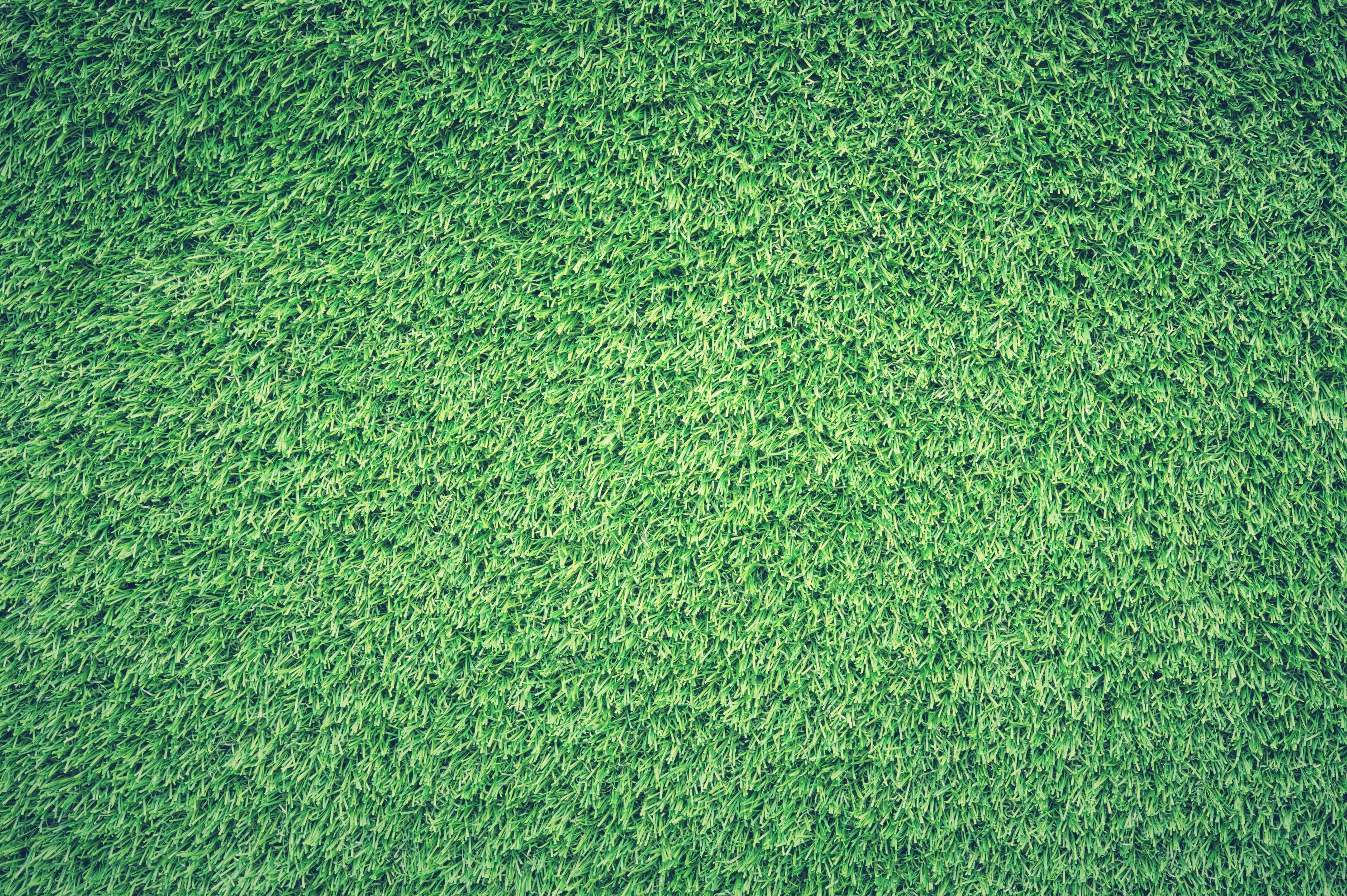 4260x2840 background, texture, green, field, grass, lawn Gallery HD Wallpaper, Desktop