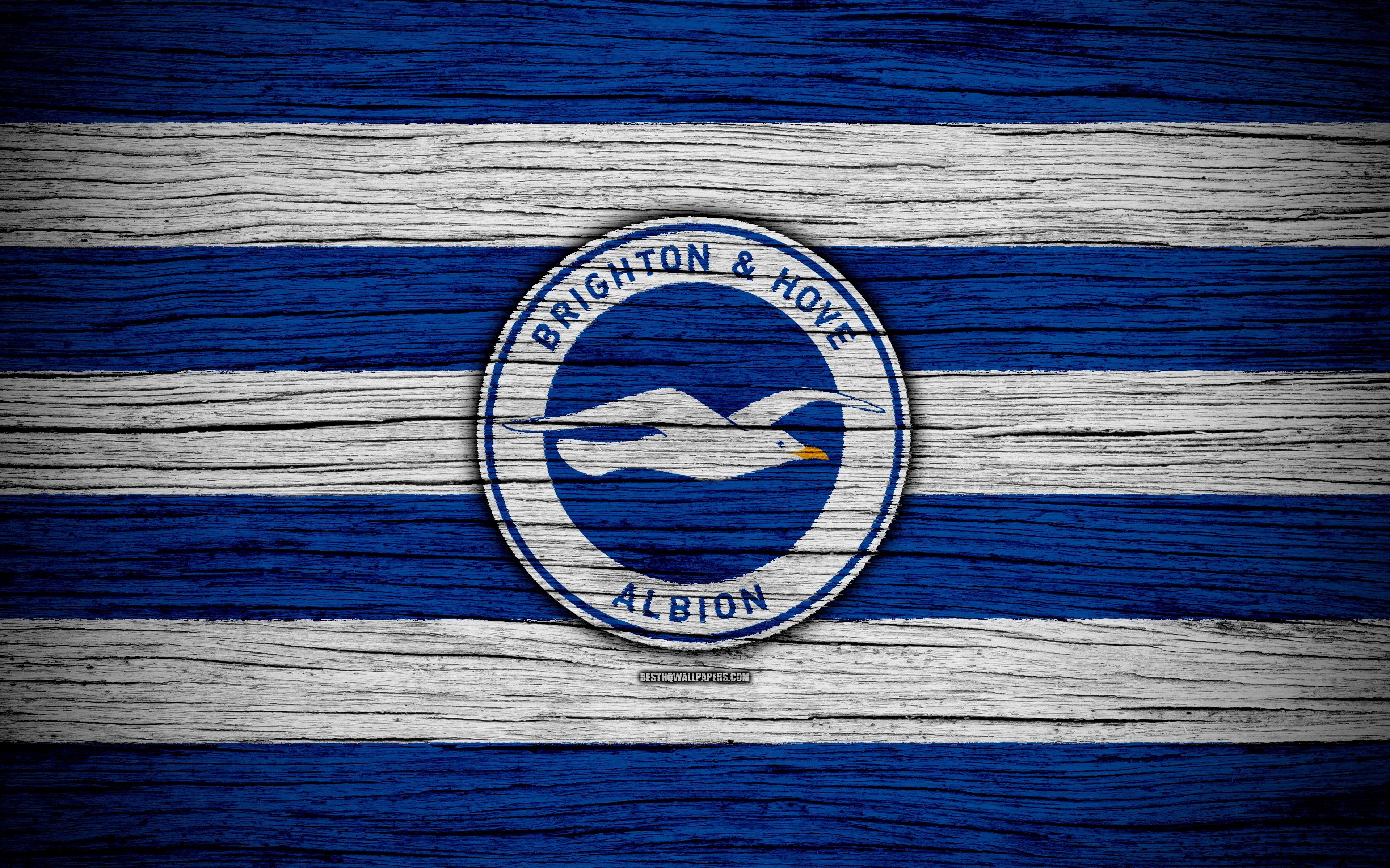 3840x2400 Download wallpaper Brighton and Hove Albion, 4k, Premier League, Desktop