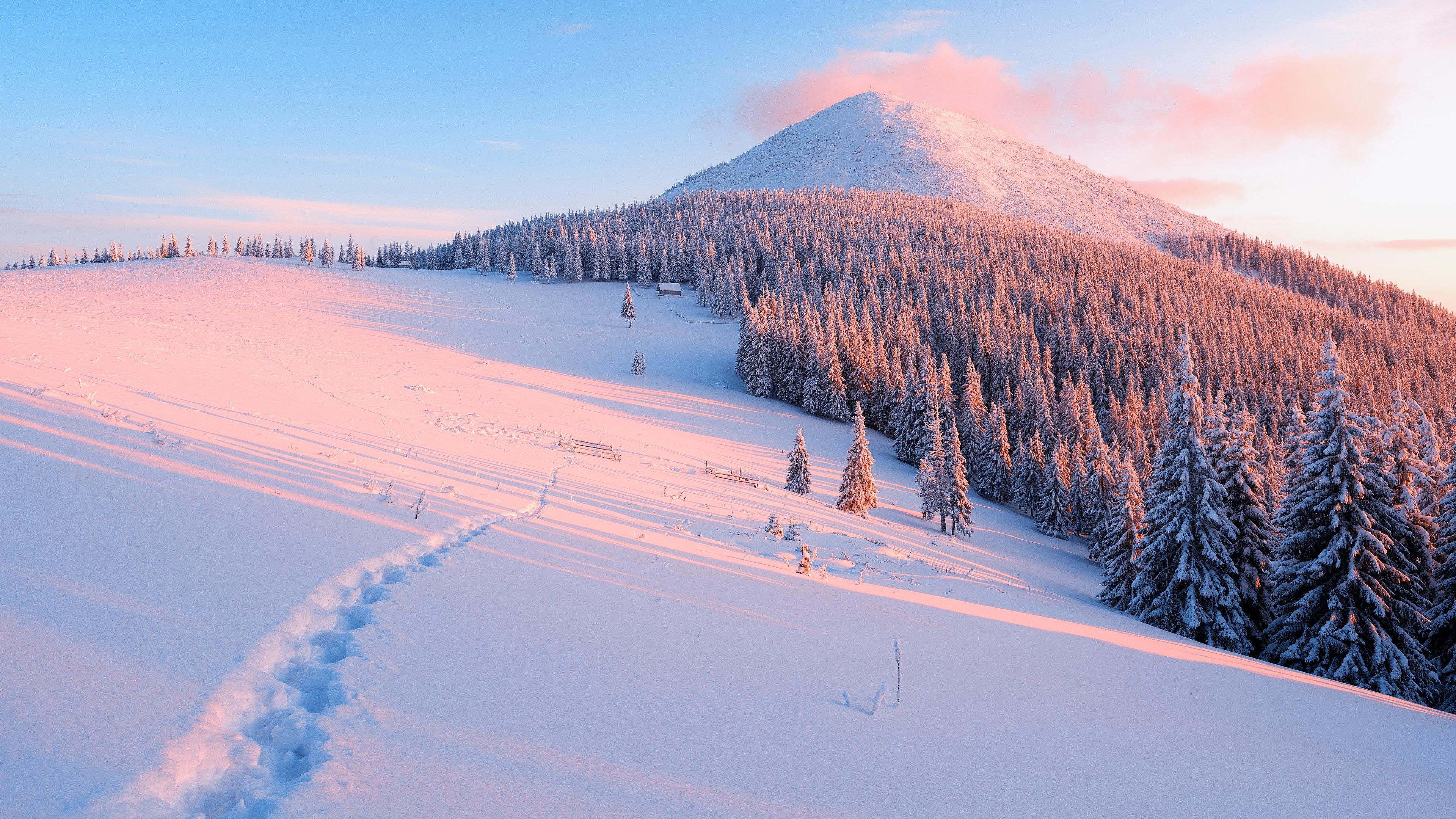 3840x2160 Snow 4K wallpaper for your desktop or mobile screen free and easy to download, Desktop