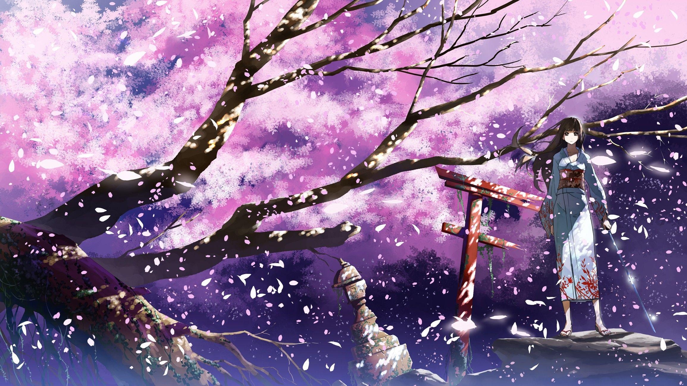 2310x1300 Anime Wallpaper  brunettes cherry blossoms katana kimono, Desktop