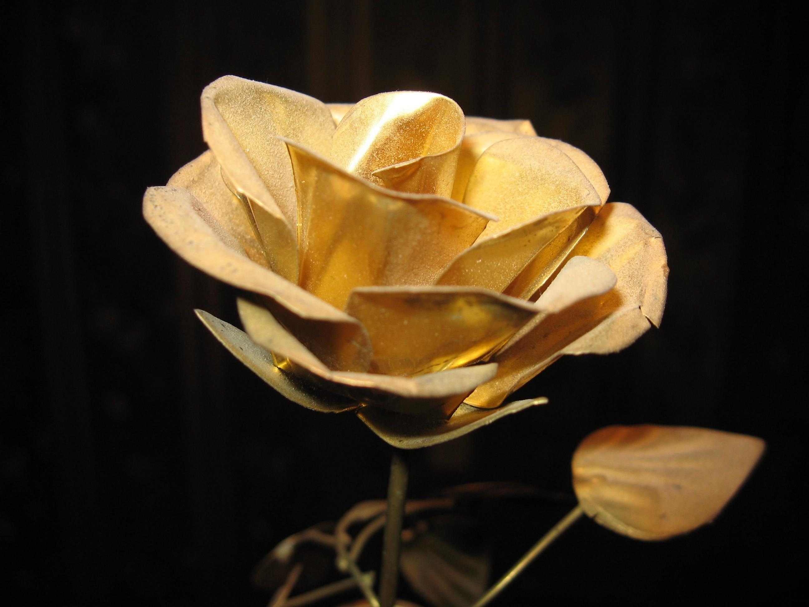 2600x1950 Flower: Gold Rose Flowers Roses Flower Desktop Background Picture, Desktop