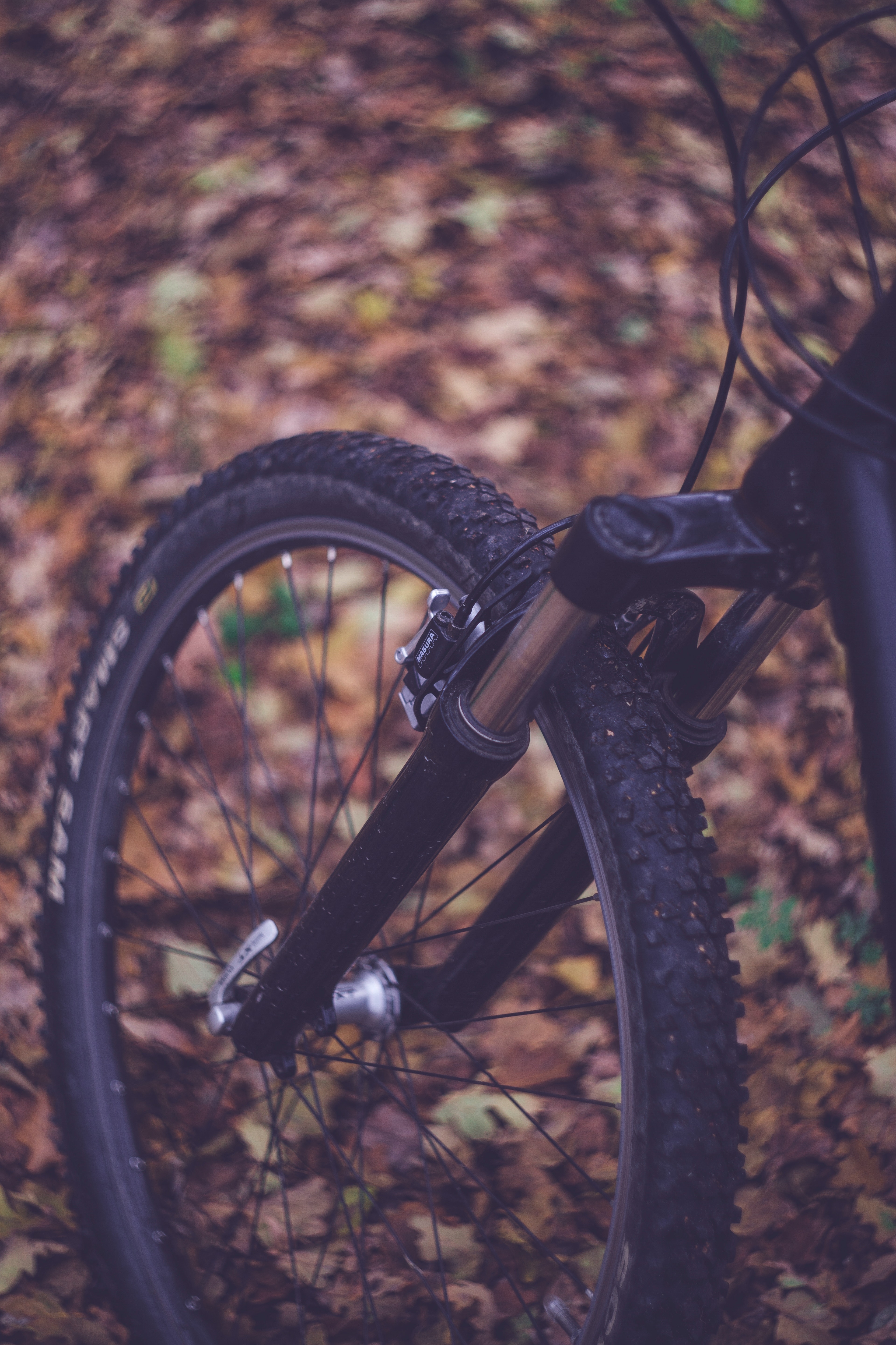 3840x5760 Mountain Bike Photo, Download Free Mountain Bike & HD Image, Phone