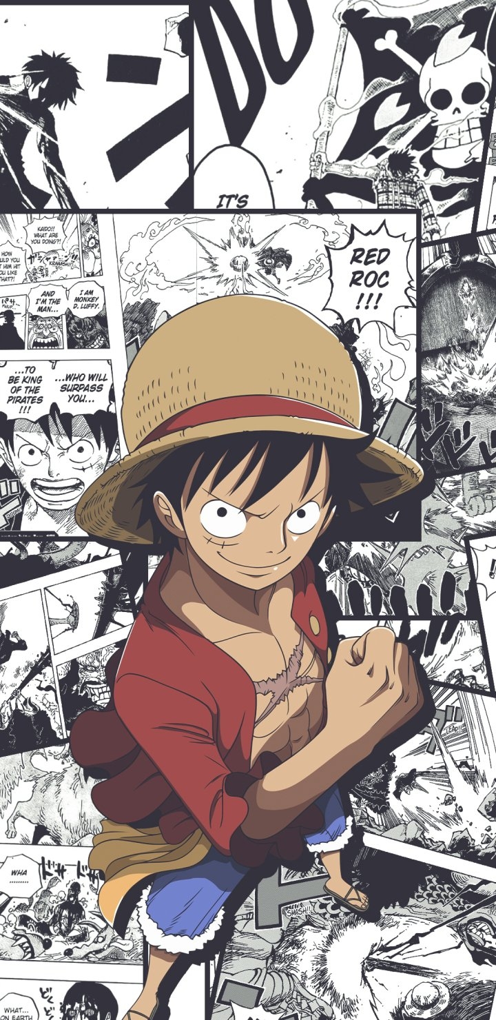 720x1480 Anime One Piece, Phone