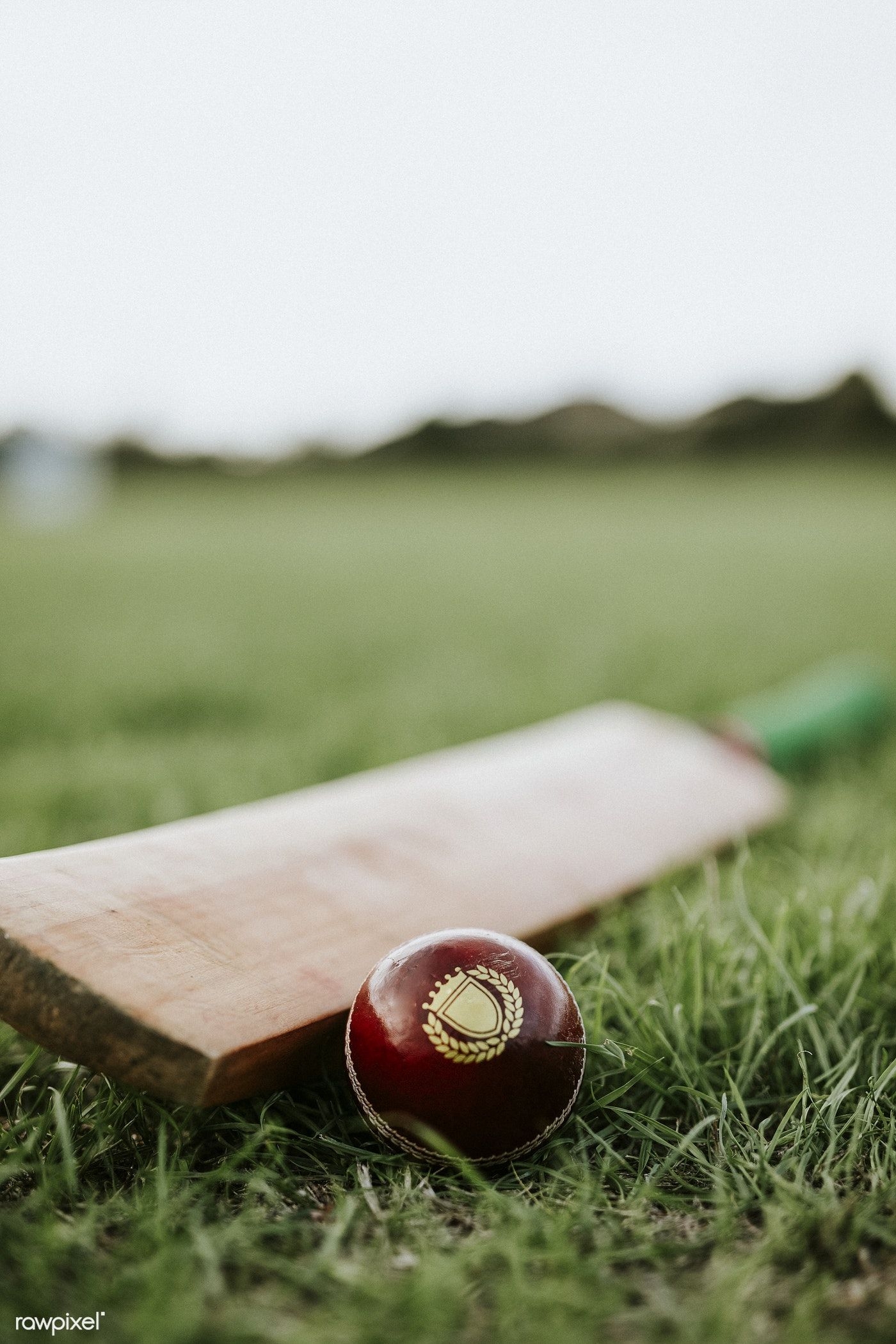 1400x2100 Cricket bat and ball on green grass. premium image / Felix. Cricket bat, Cricket wallpaper, Cricket balls, Phone