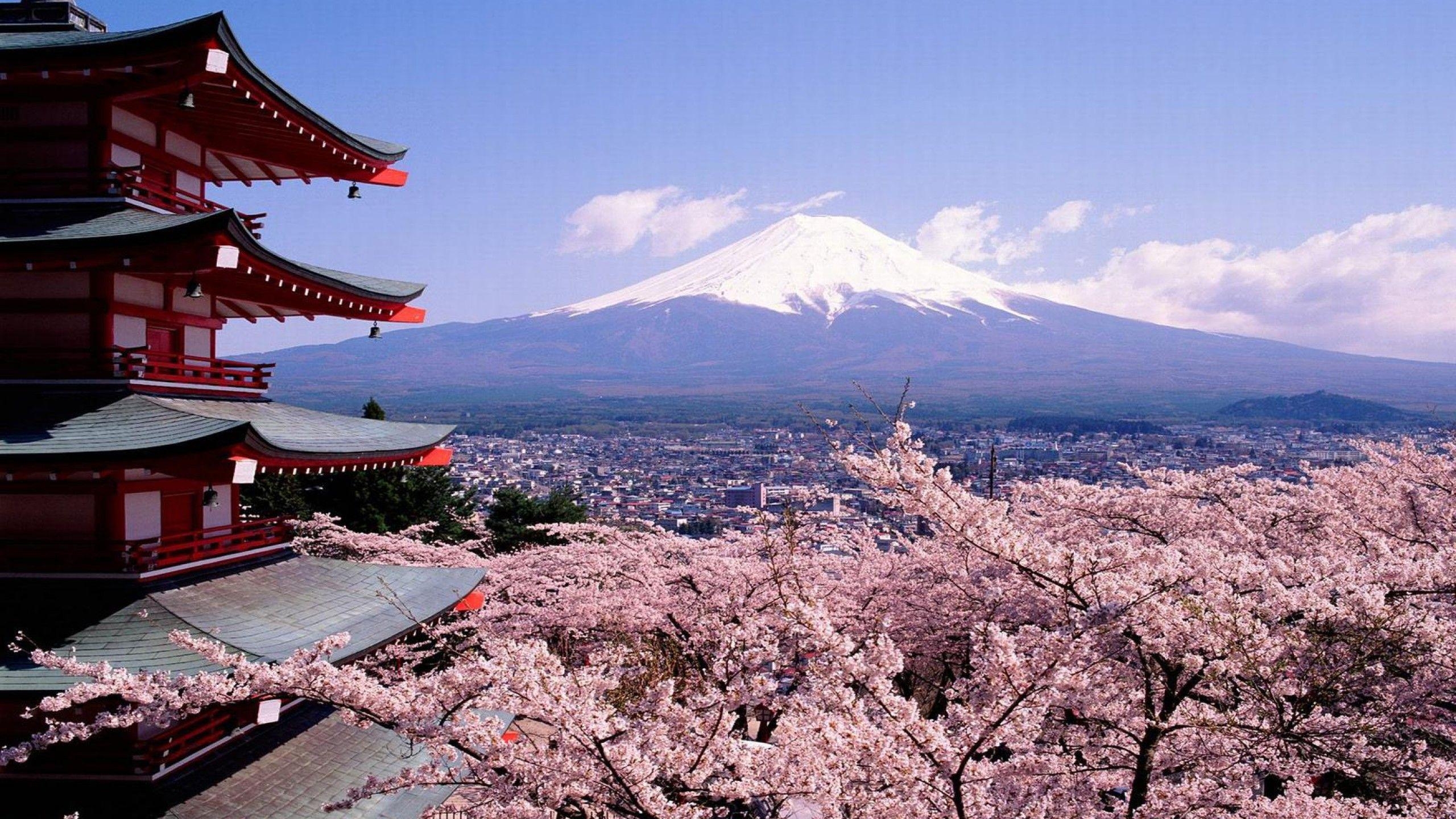 2560x1440 Mount Fuji Japan Wallpaper Free Mount Fuji Japan Background, Desktop