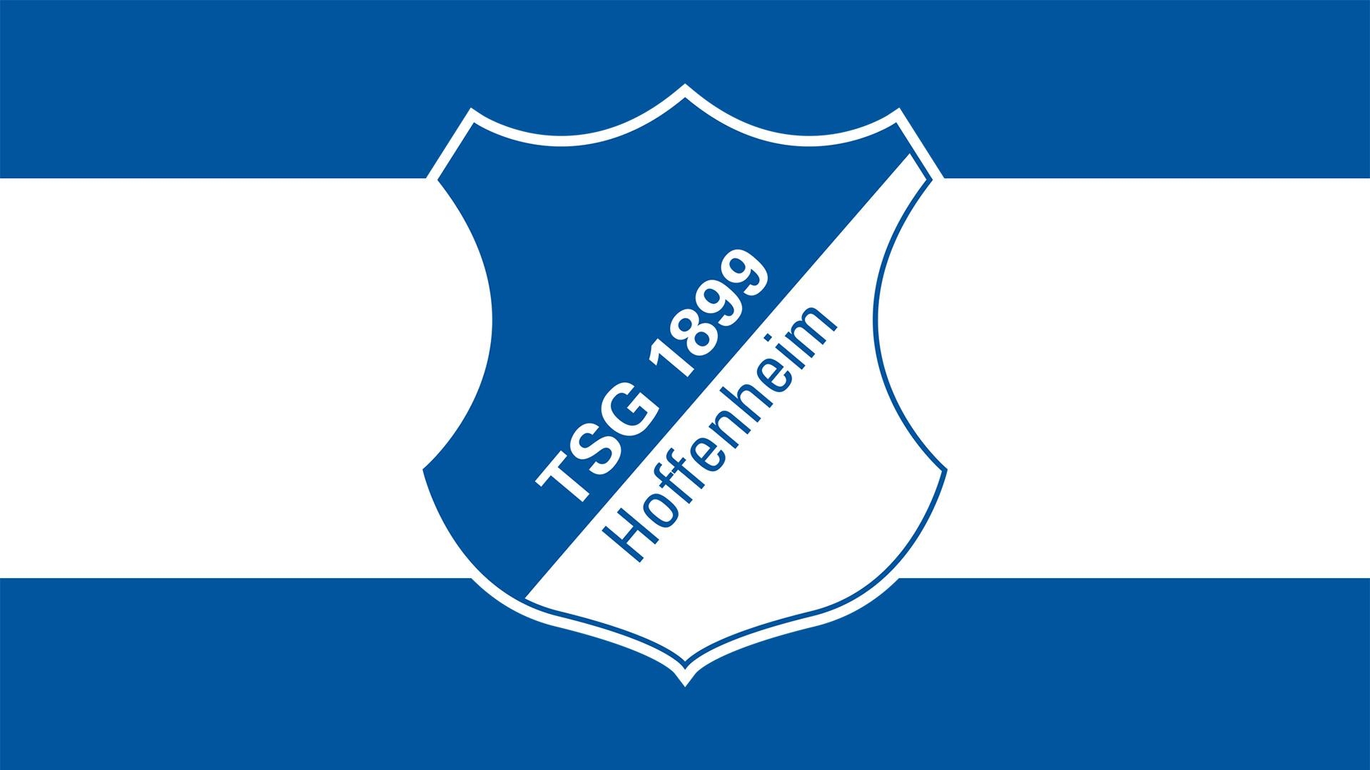 1920x1080 TSG 1899 Hoffenheim, Desktop